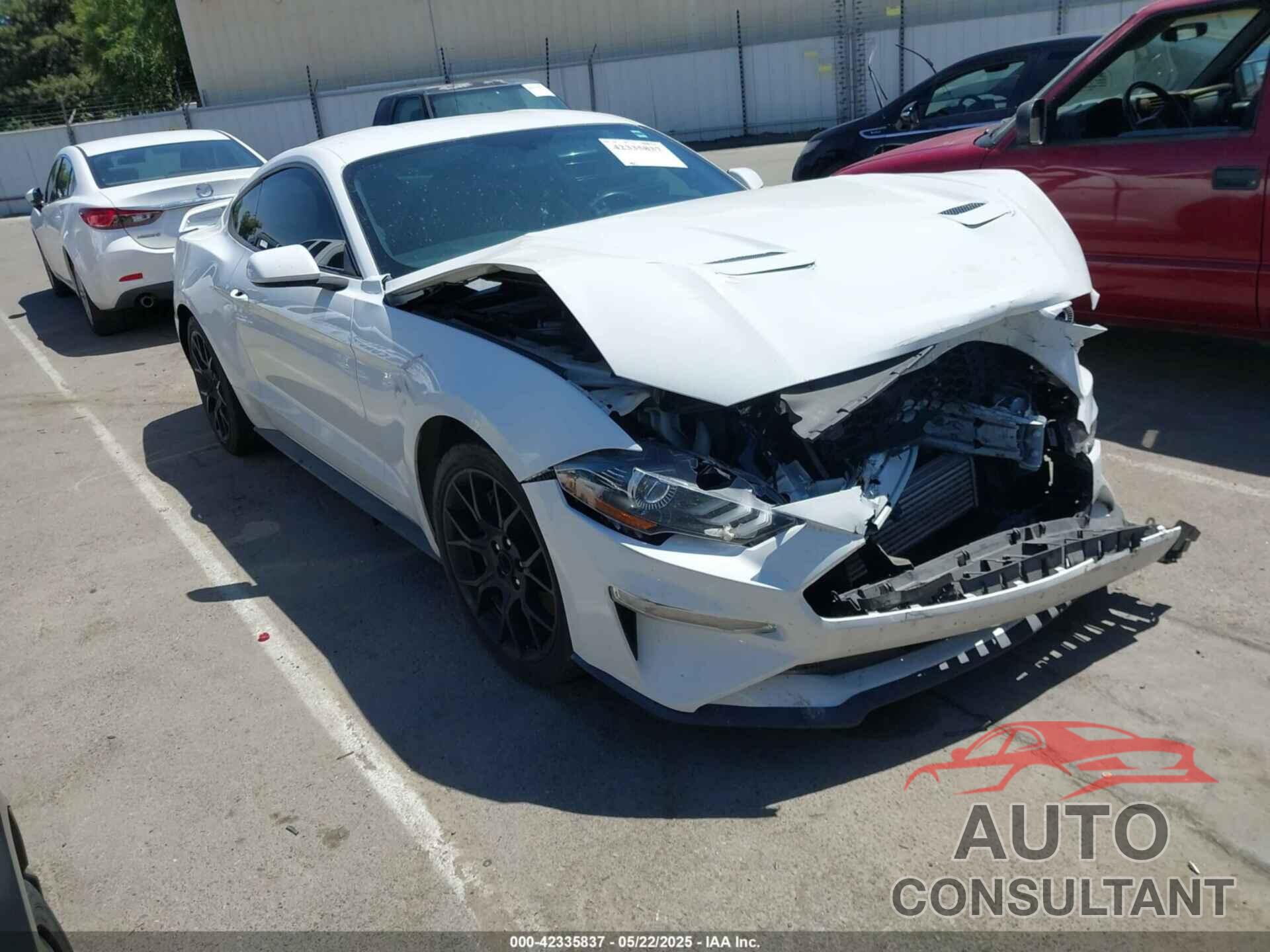 FORD MUSTANG 2019 - 1FA6P8TH4K5131093