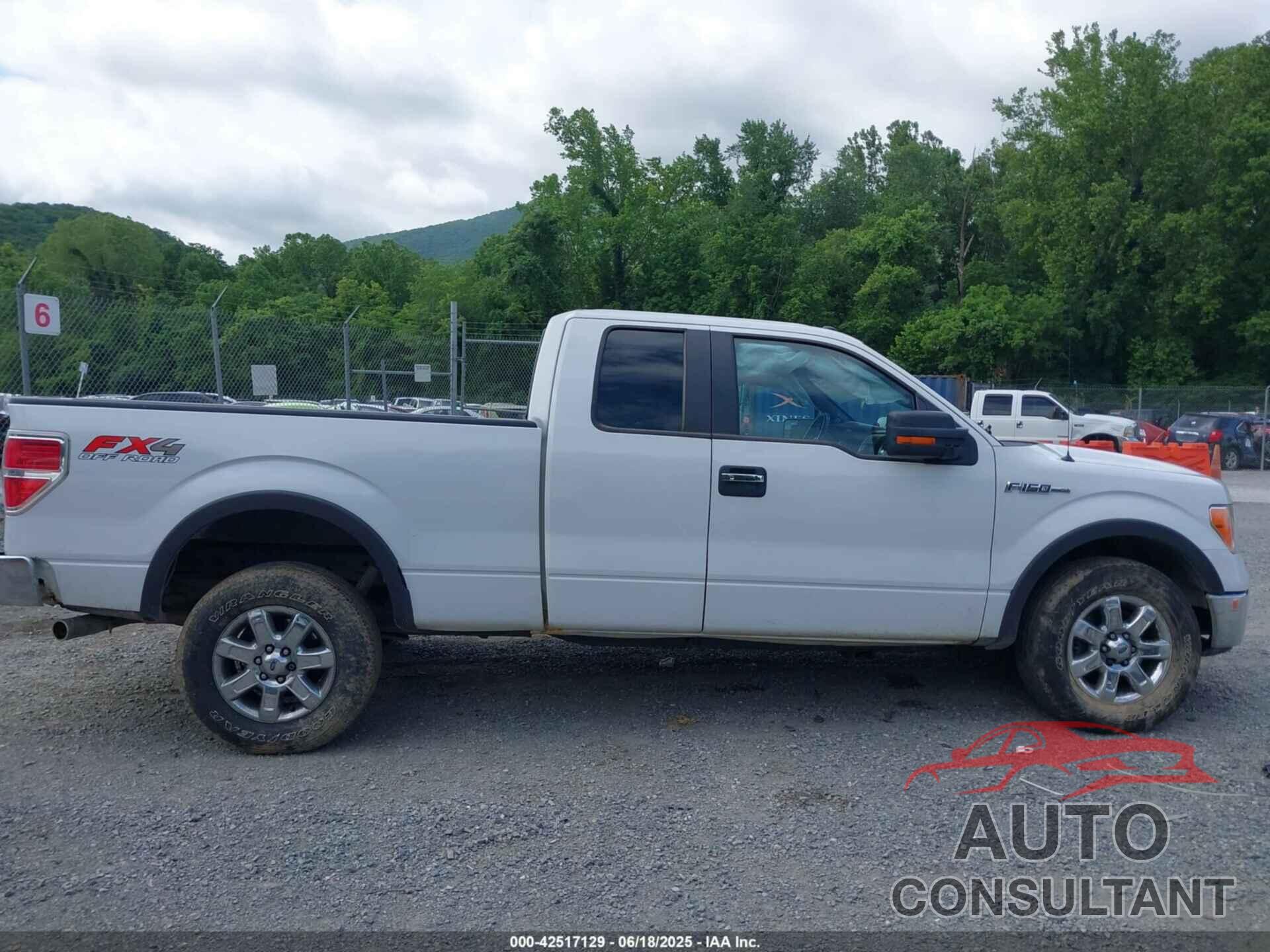 FORD F-150 2014 - 1FTFX1EF5EFA91747