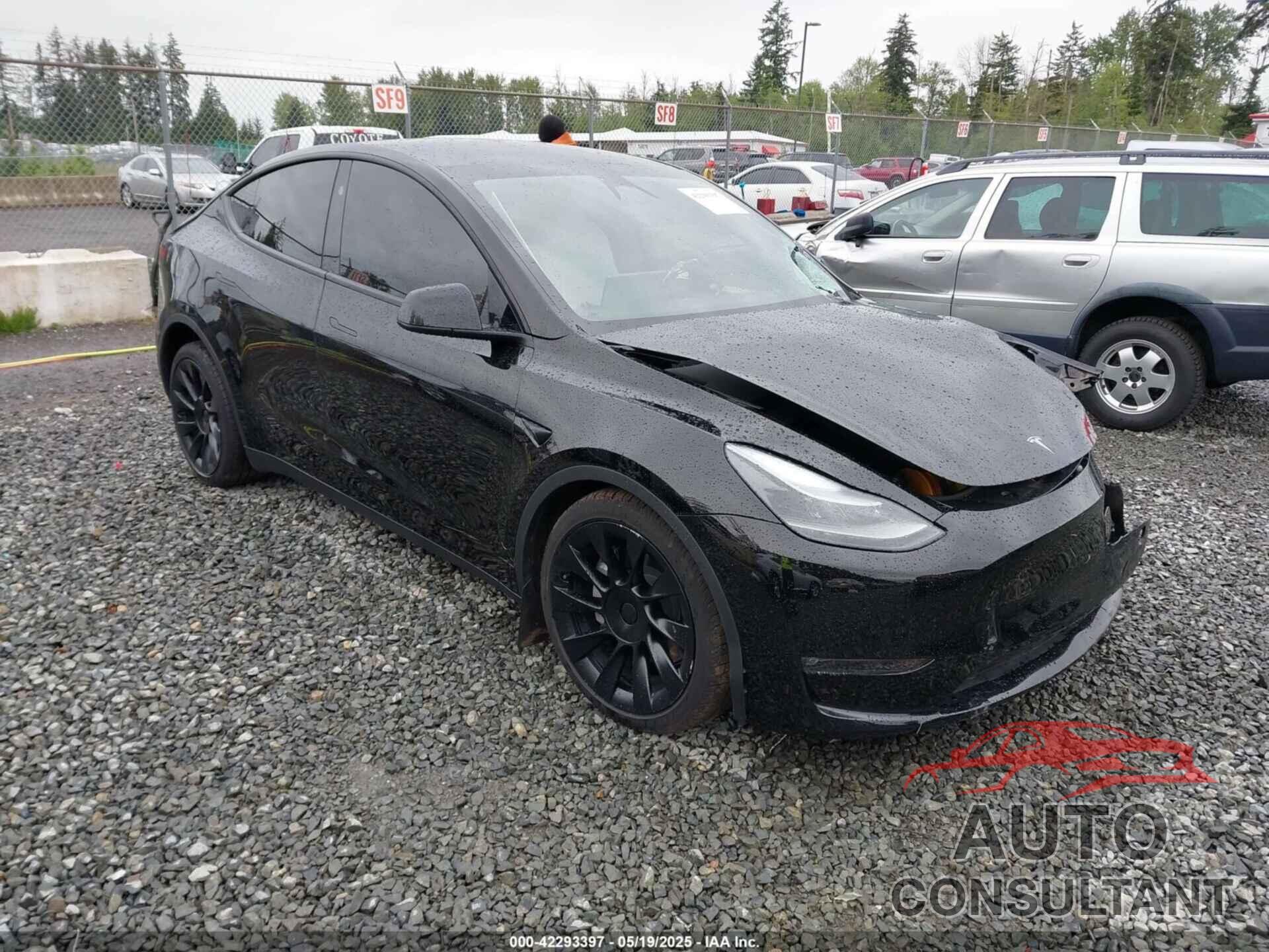 TESLA MODEL Y 2024 - 7SAYGDEE1RF033066