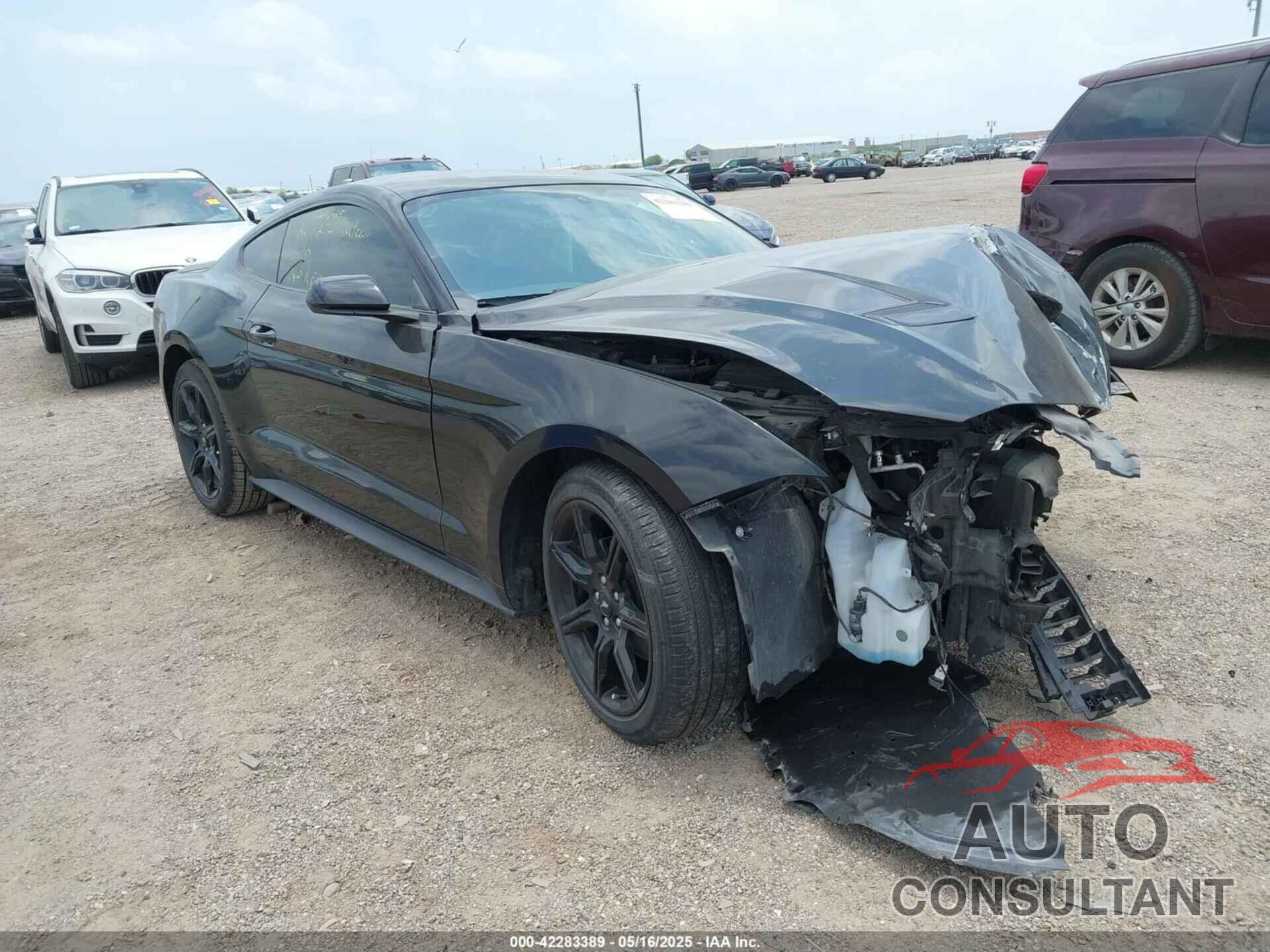 FORD MUSTANG 2019 - 1FA6P8THXK5125833