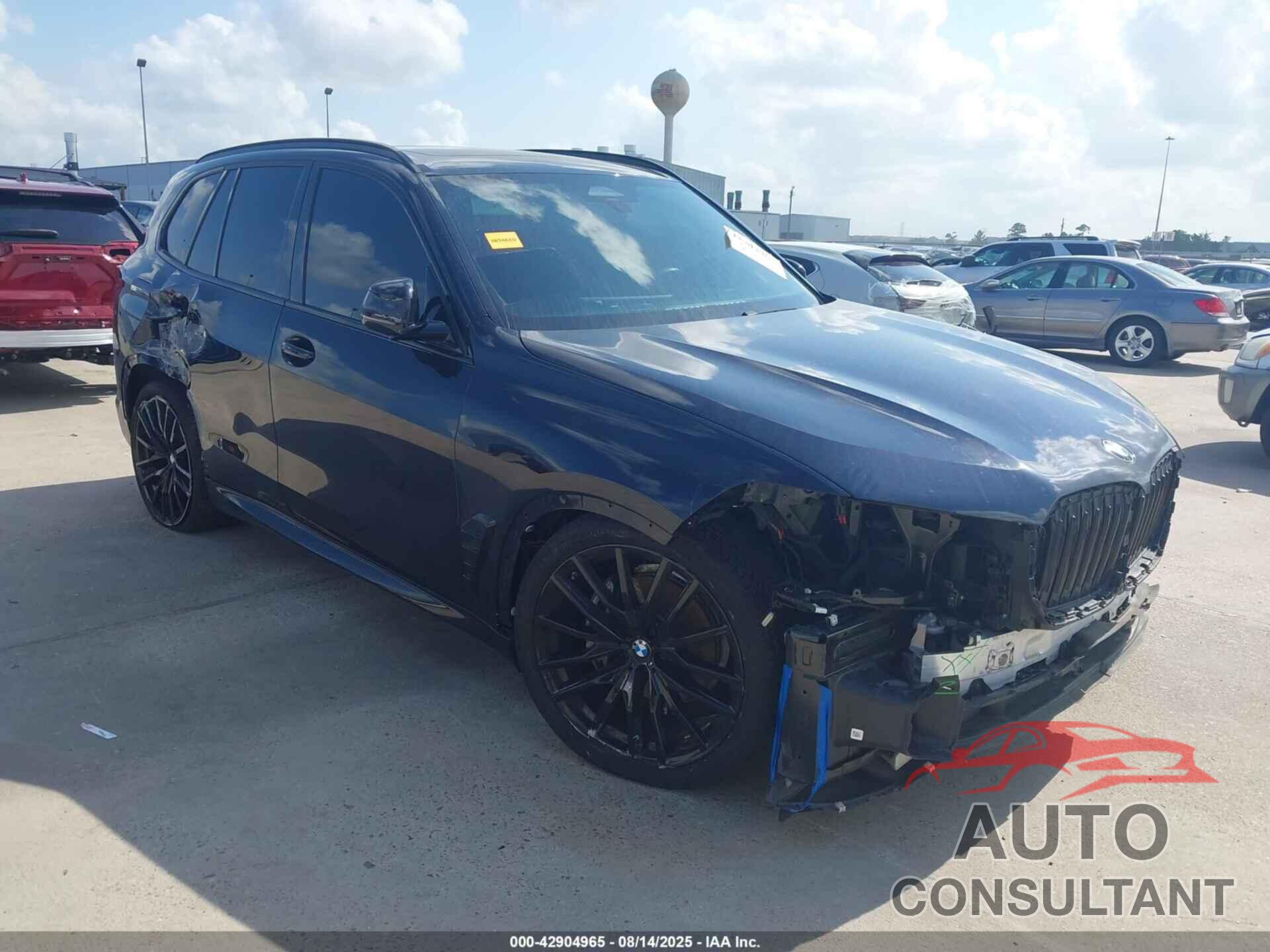 BMW X5 2024 - 5UX13EU04R9V09096