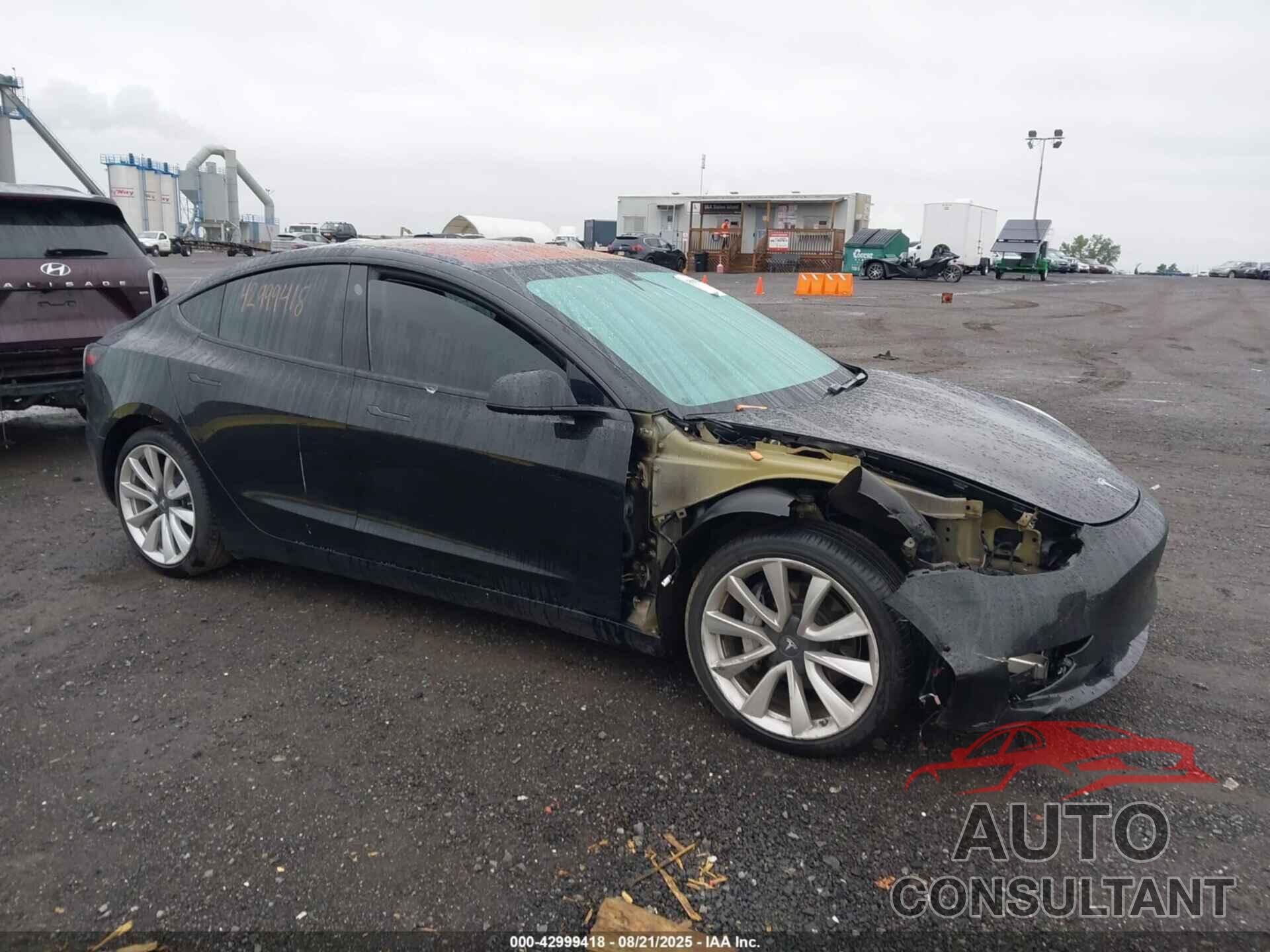 TESLA MODEL 3 2019 - 5YJ3E1EA1KF300494