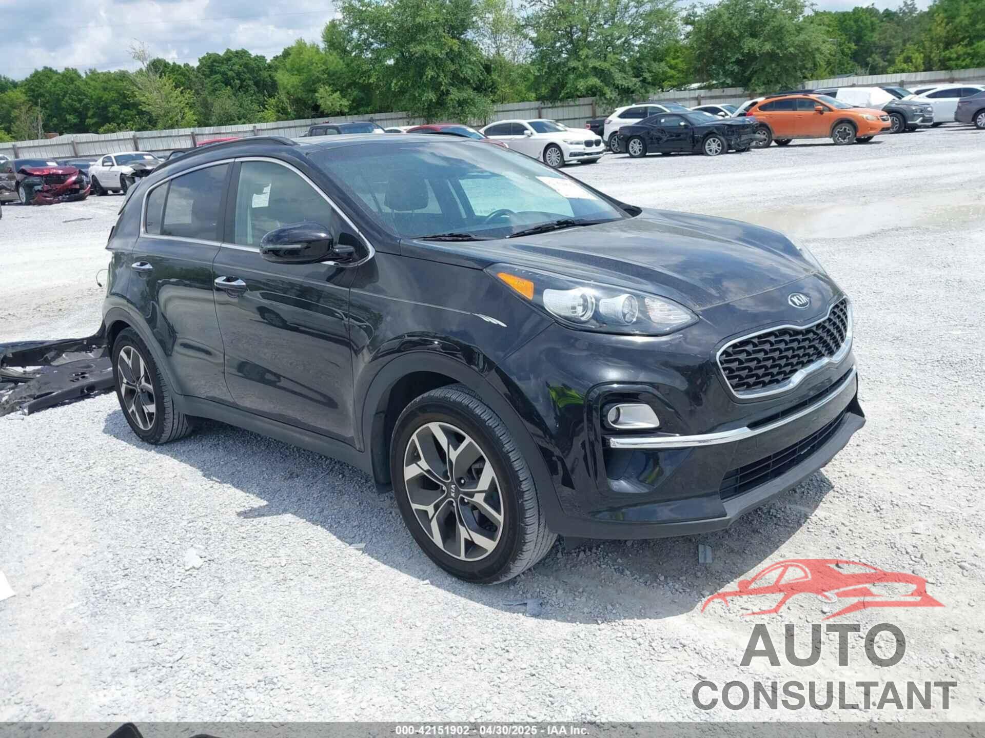 KIA SPORTAGE 2022 - KNDPN3AC6N7007642