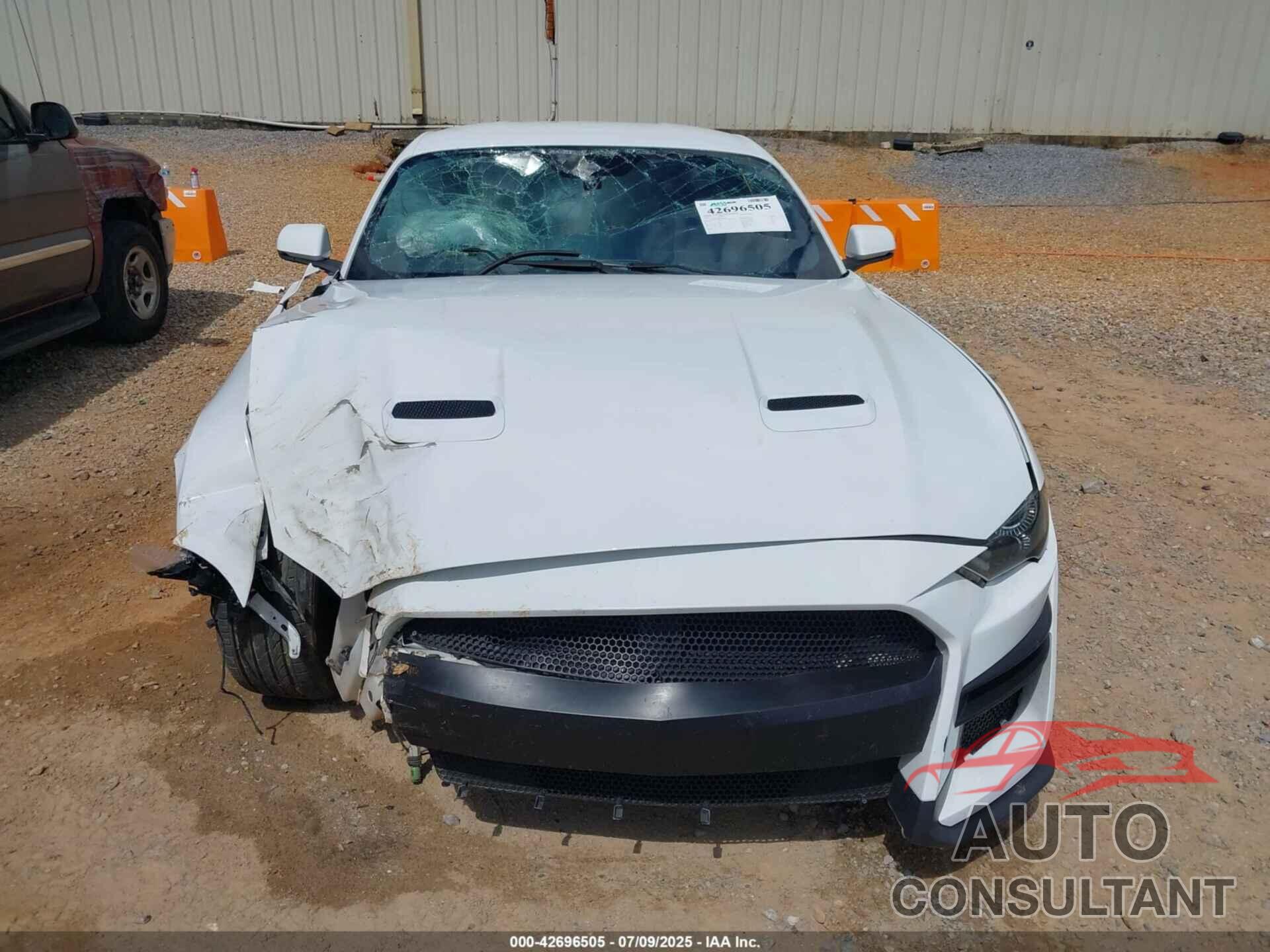 FORD MUSTANG 2019 - 1FA6P8CF0K5186381