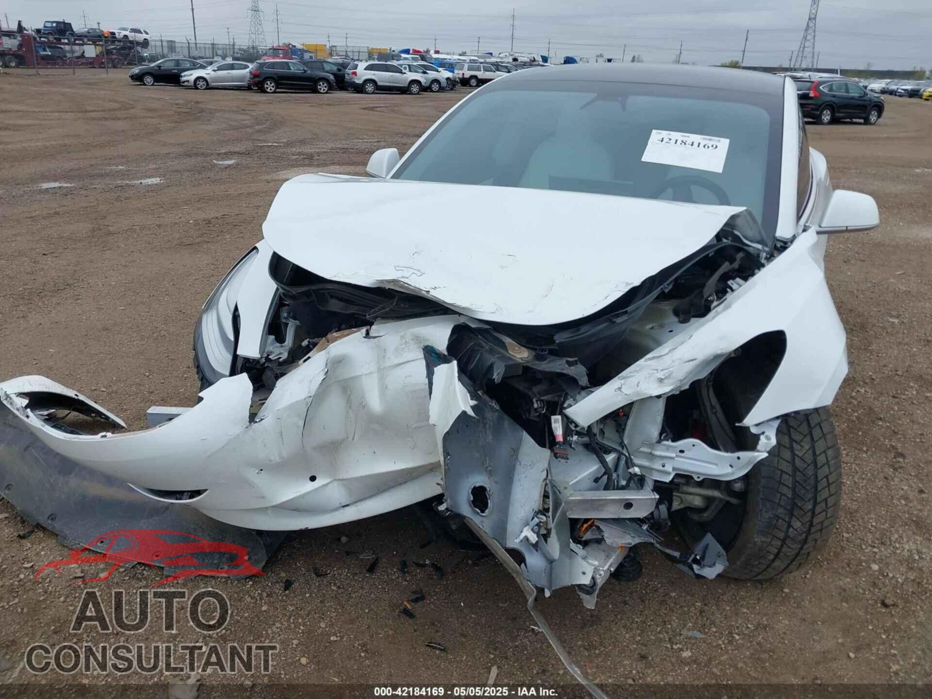 TESLA MODEL 3 2020 - 5YJ3E1EC4LF719149
