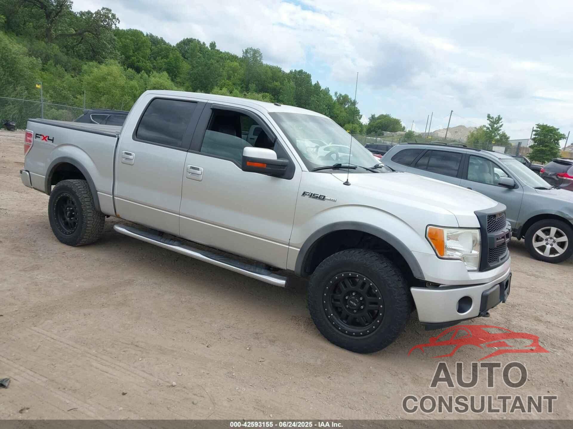 FORD F-150 2010 - 1FTFW1EV8AFD95966