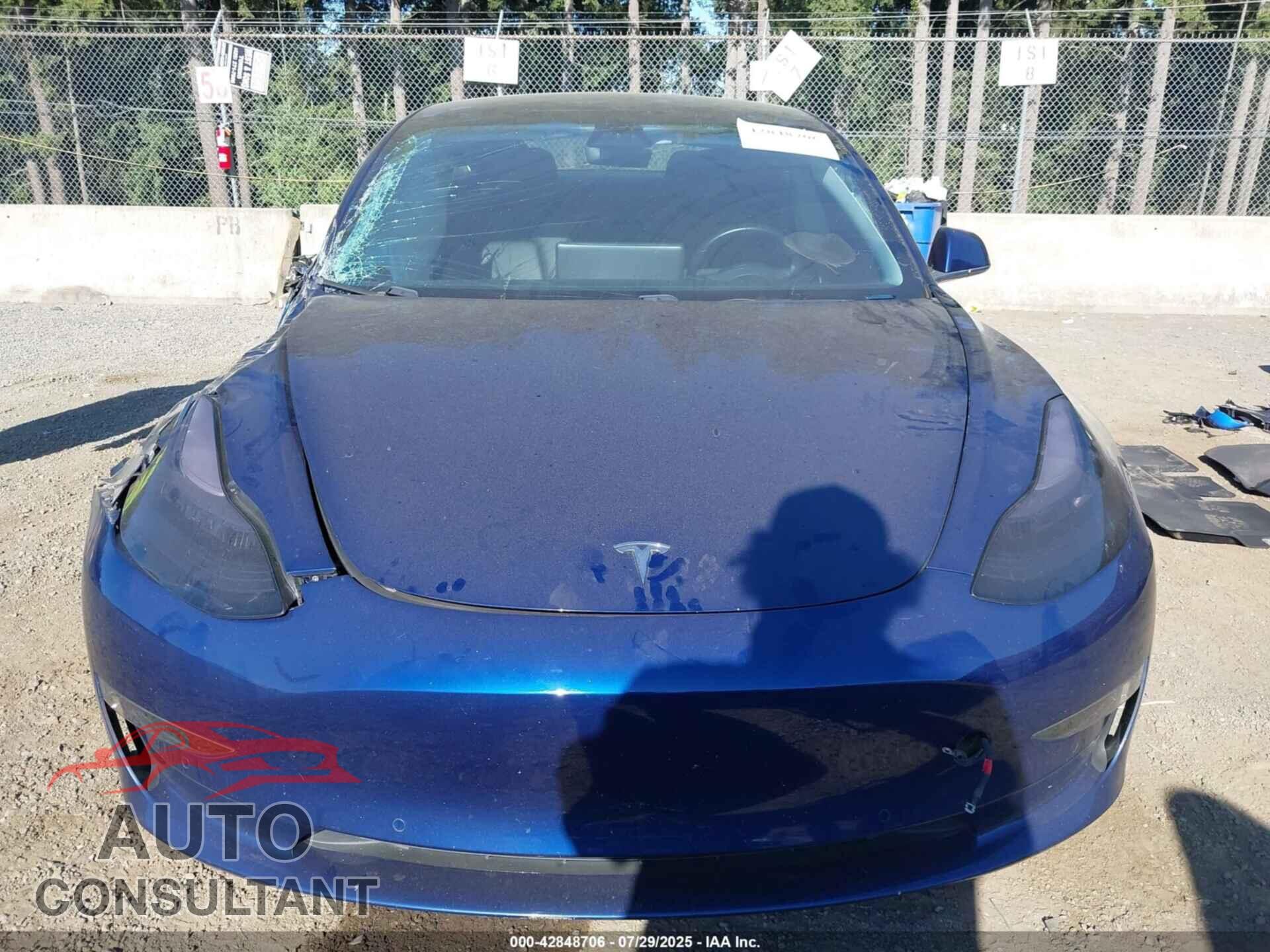 TESLA MODEL 3 2019 - 5YJ3E1EAXKF309632