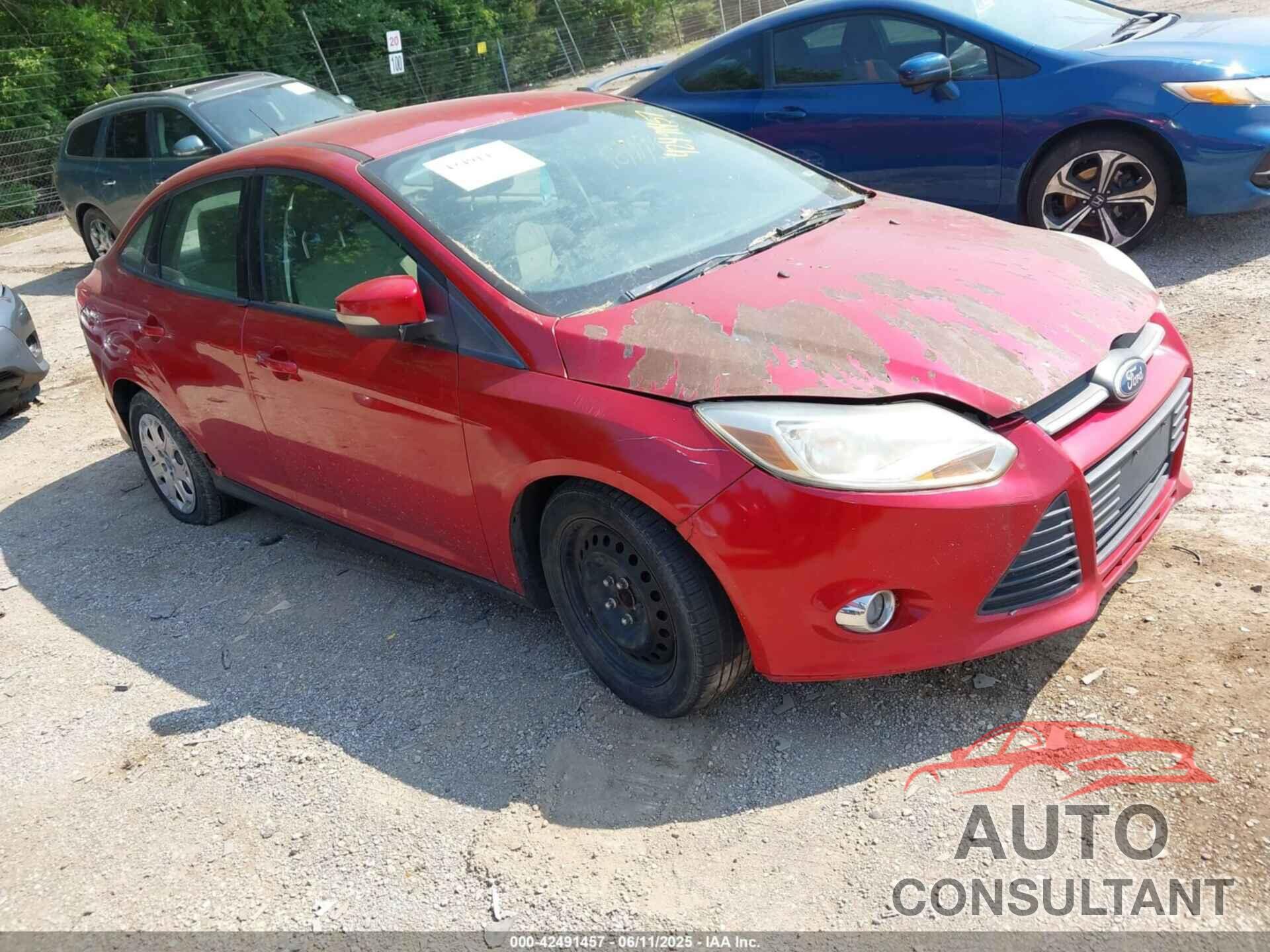 FORD FOCUS 2012 - 1FAHP3F24CL102709