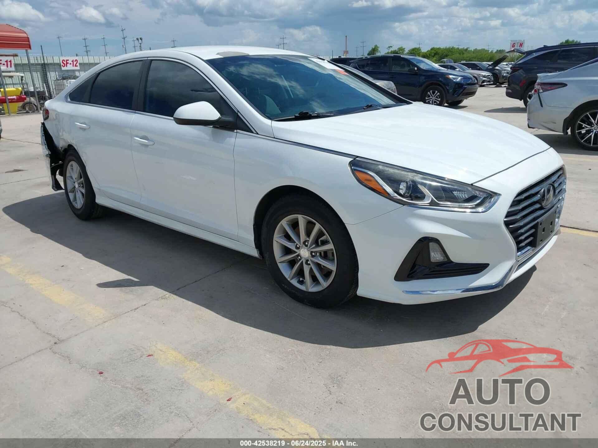 HYUNDAI SONATA 2019 - 5NPE24AF6KH767688