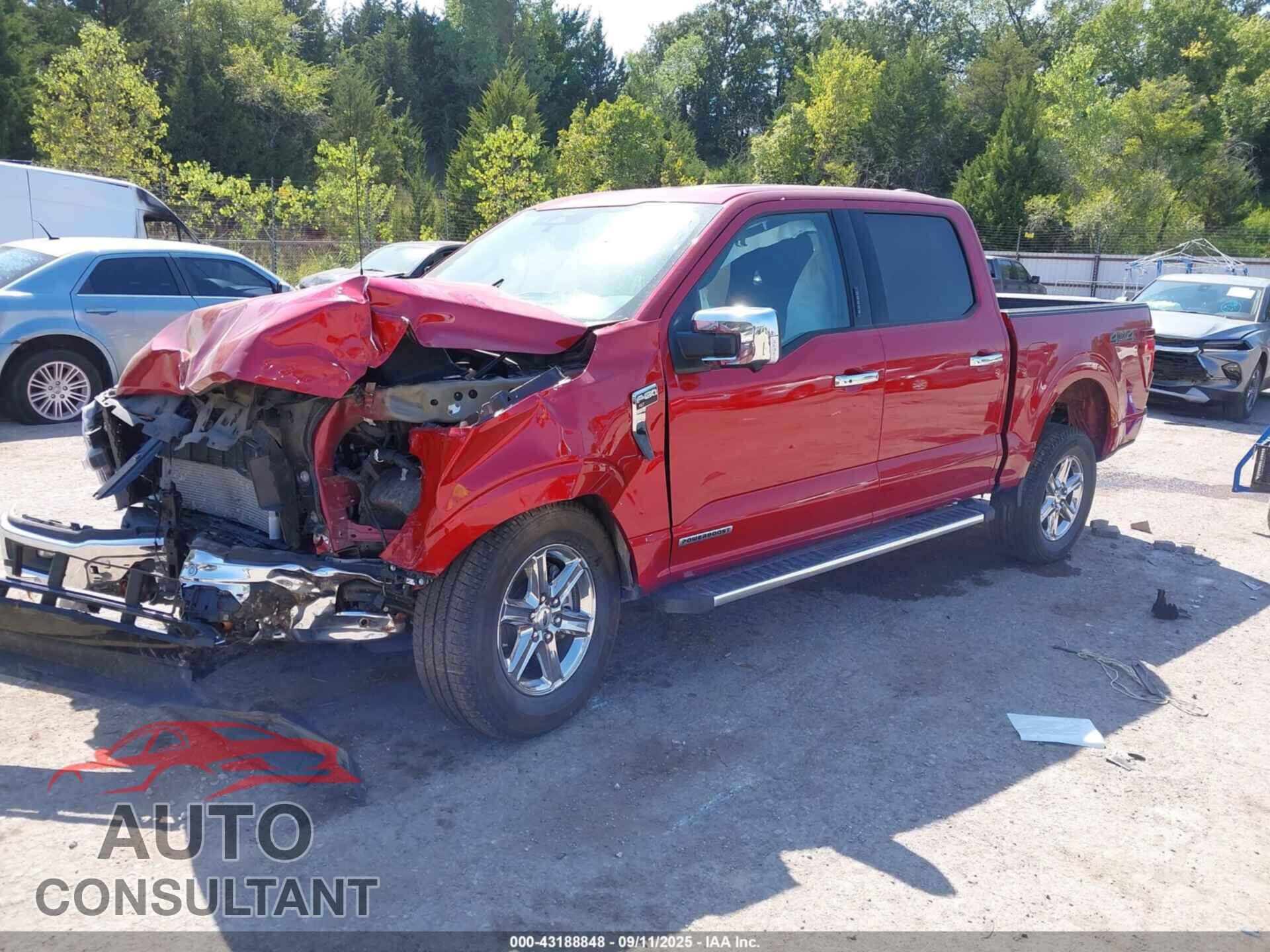 FORD F-150 2024 - 1FTFW3LD5RFA31487