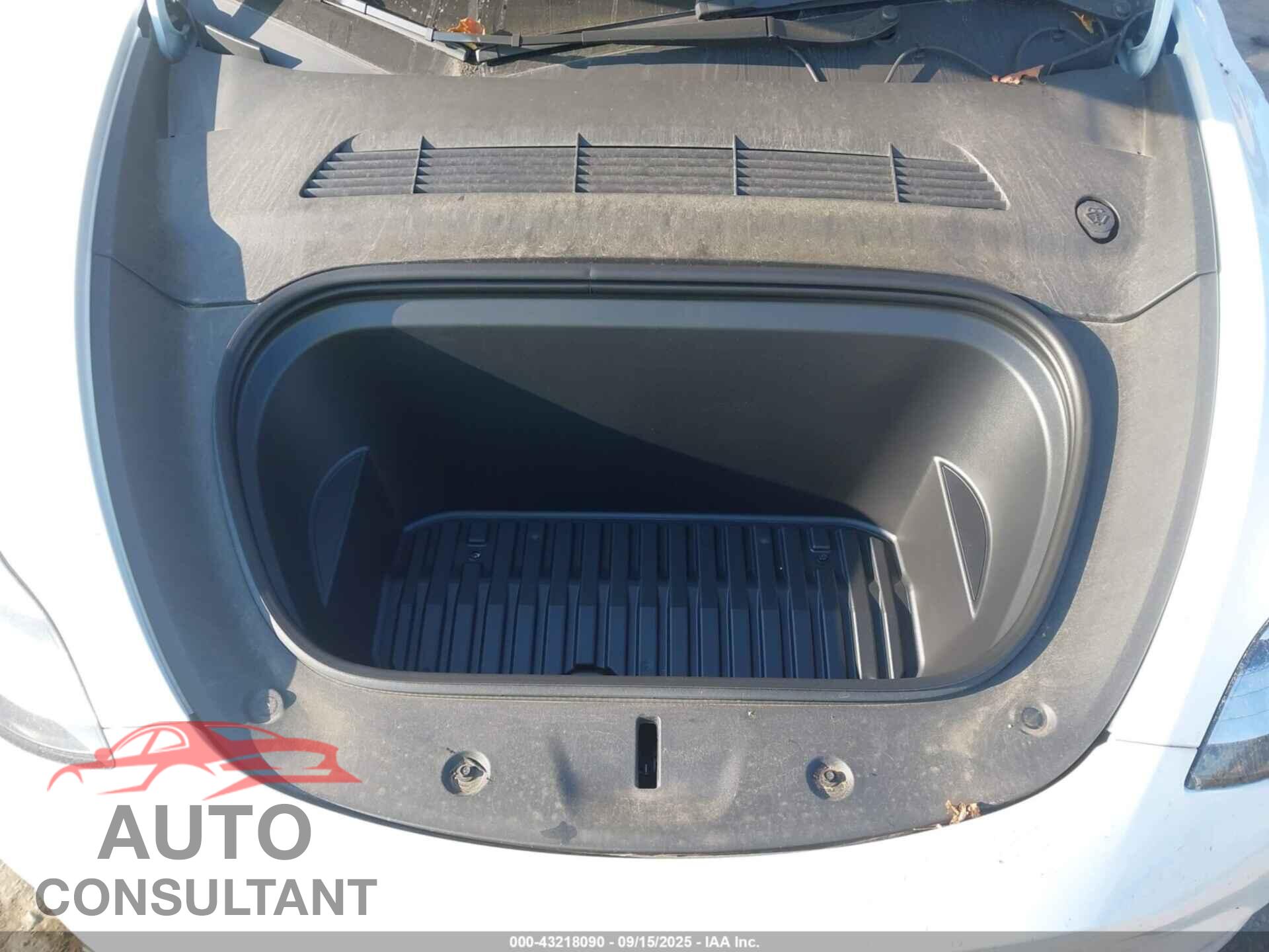 TESLA MODEL Y 2023 - 7SAYGAEEXPF589727