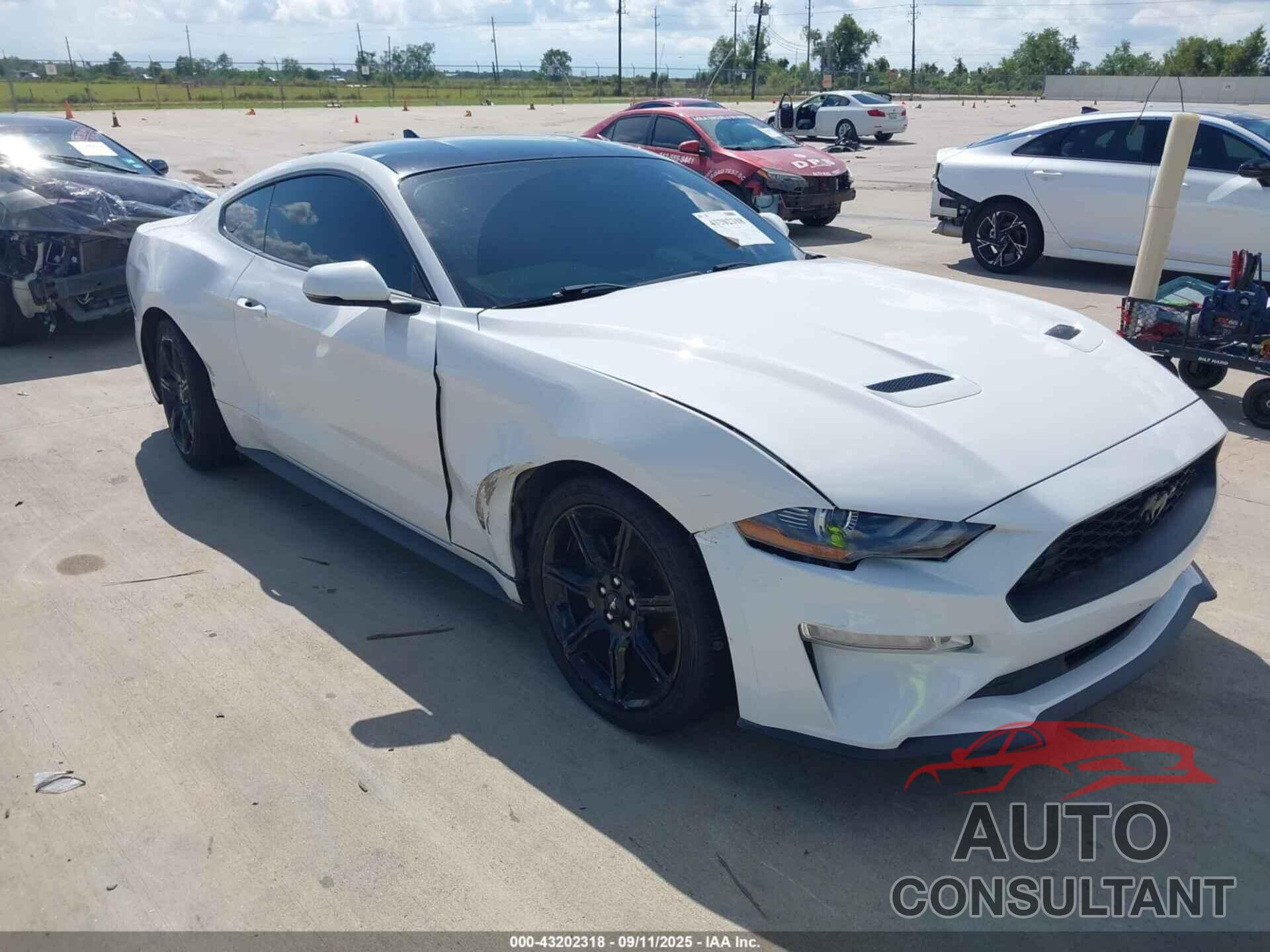 FORD MUSTANG 2020 - 1FA6P8TH6L5184279