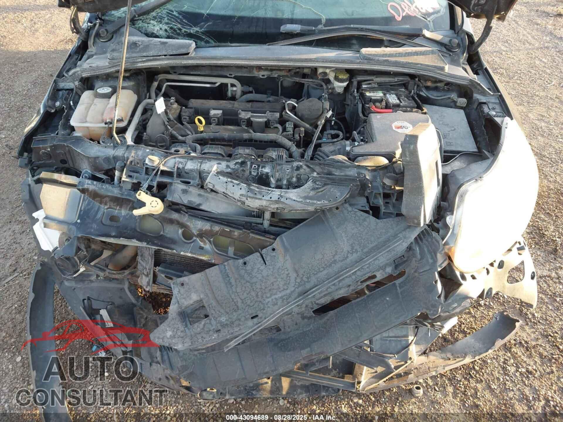 FORD FOCUS 2012 - 1FAHP3K22CL250024