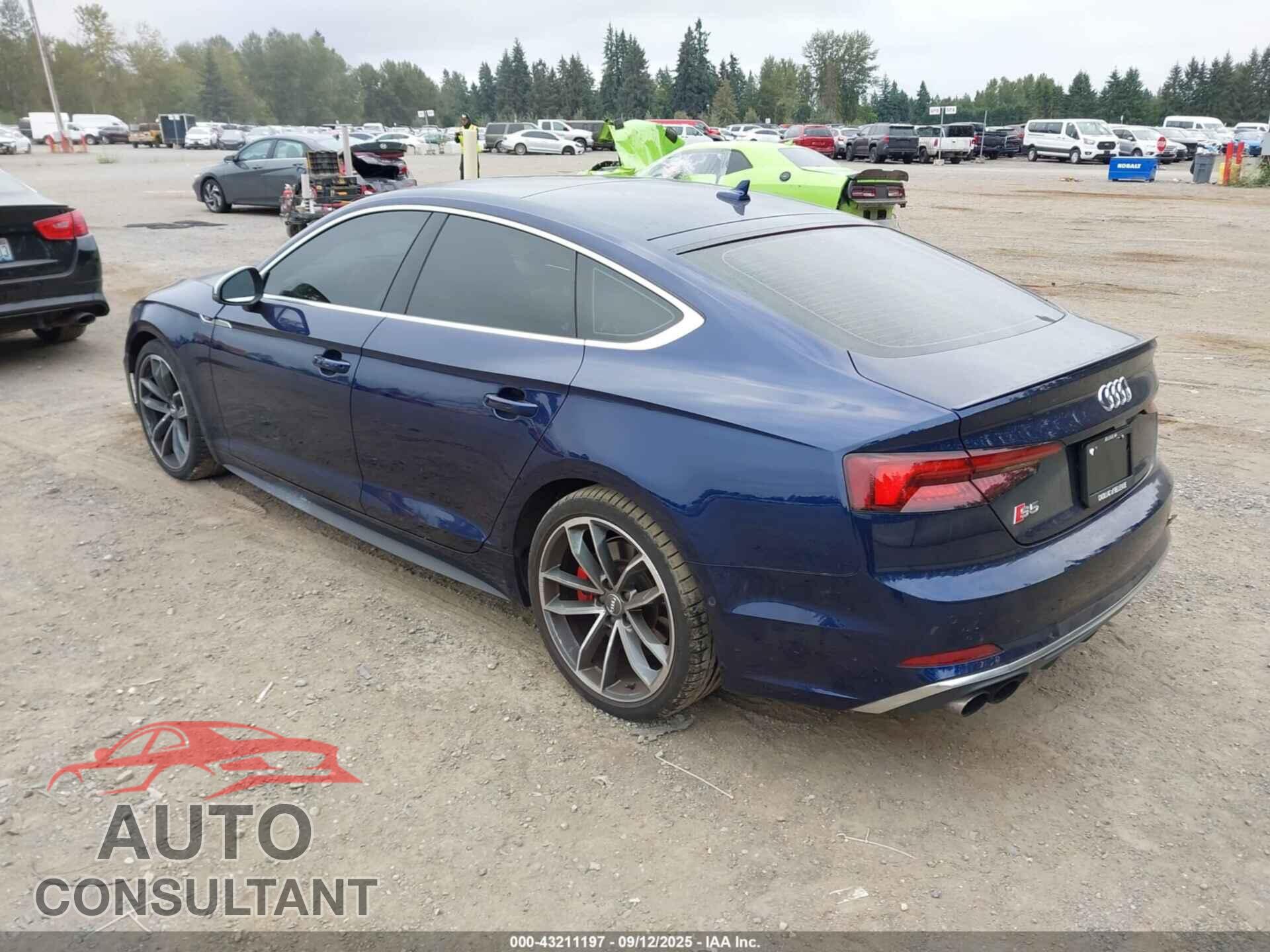 AUDI S5 2019 - WAUC4CF5XKA065146