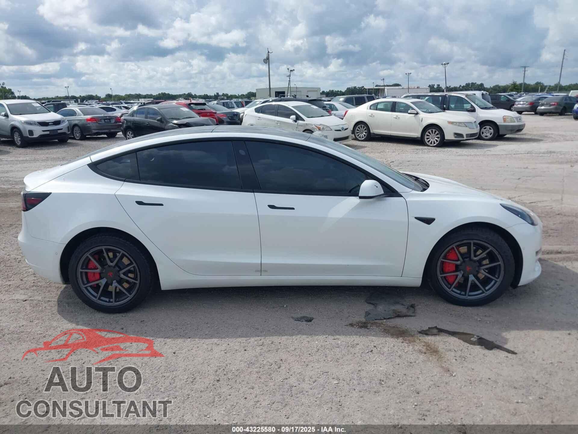 TESLA MODEL 3 2021 - 5YJ3E1EA1MF992100