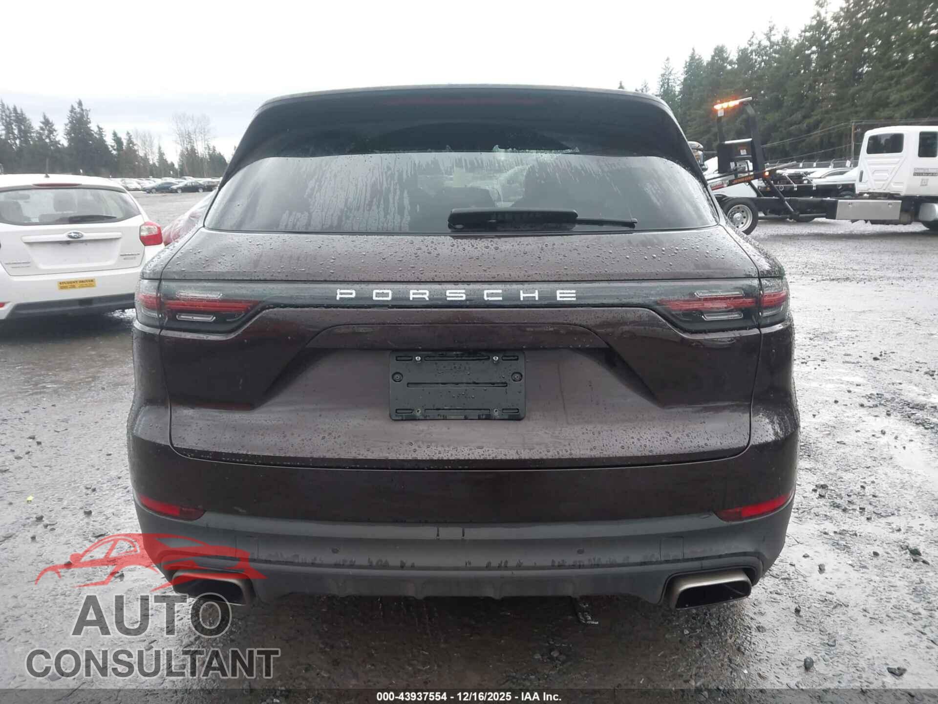 PORSCHE CAYENNE 2019 - WP1AA2AY9KDA01840