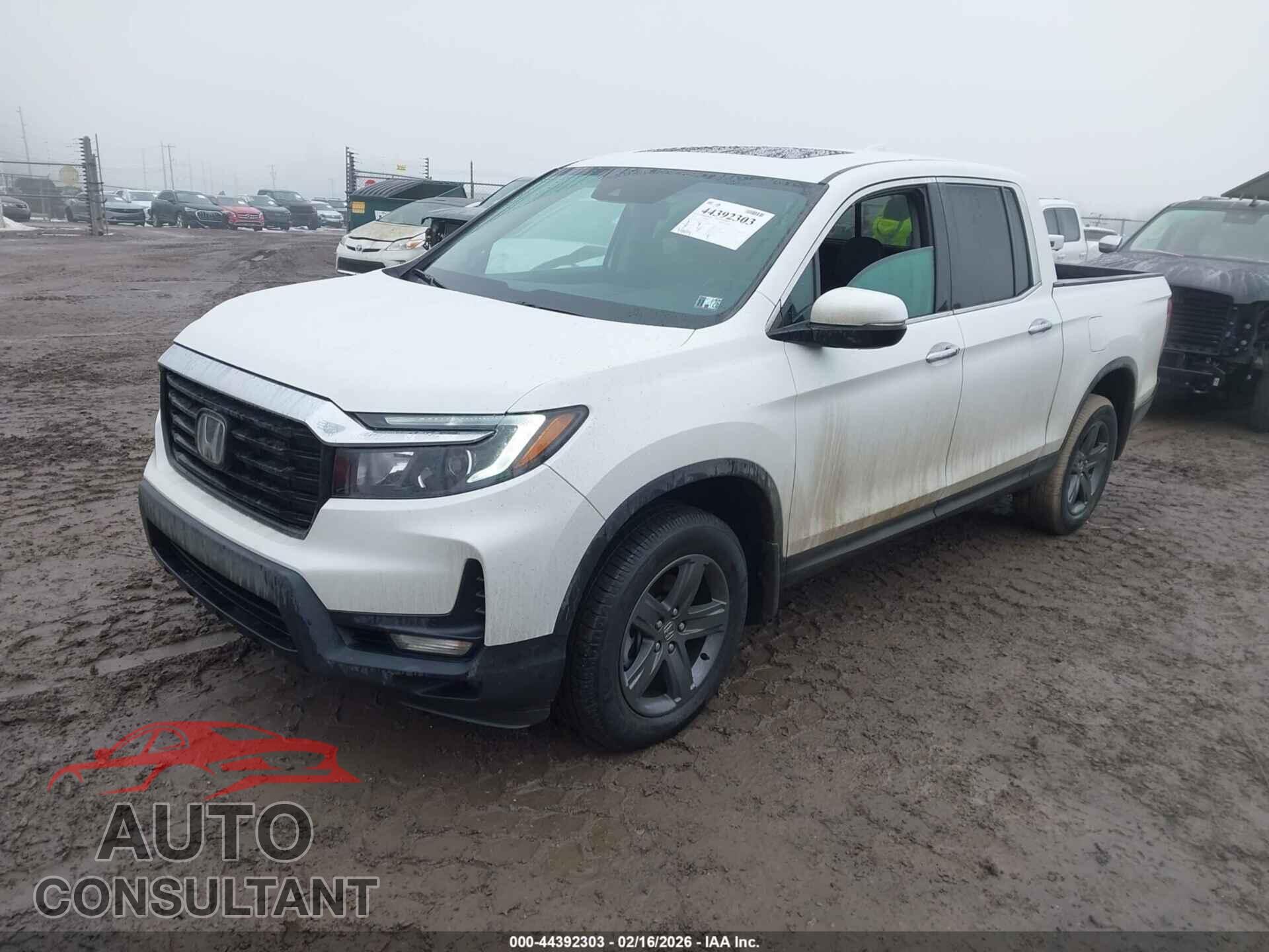 HONDA RIDGELINE 2023 - 5FPYK3F72PB011944