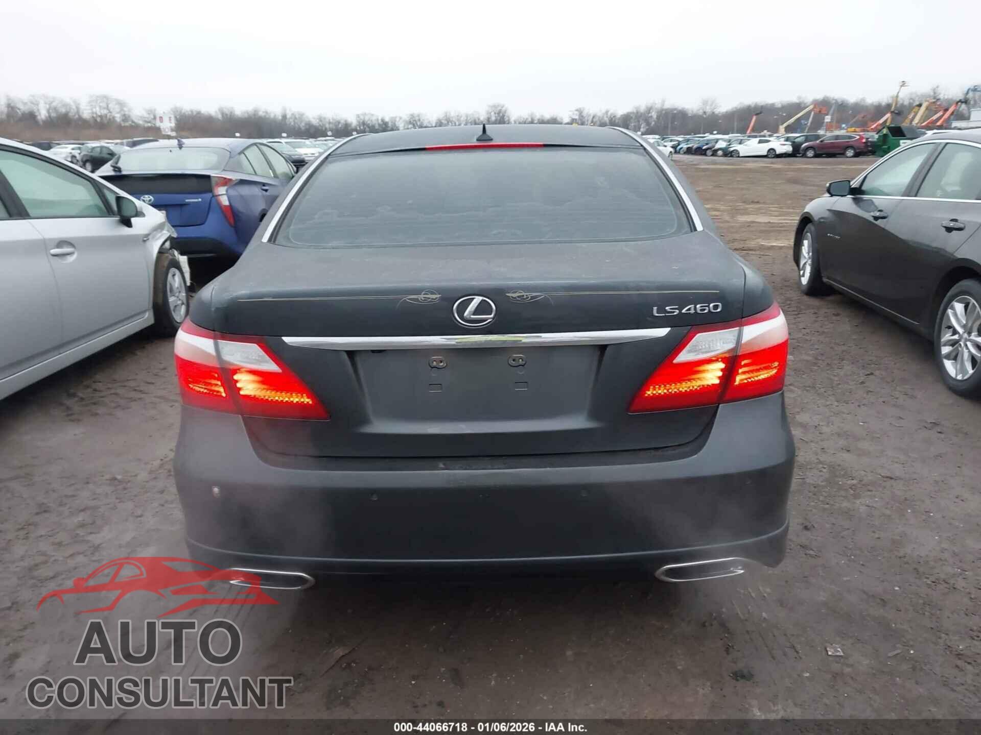 LEXUS LS 460 2011 - JTHBL5EF7B5107528
