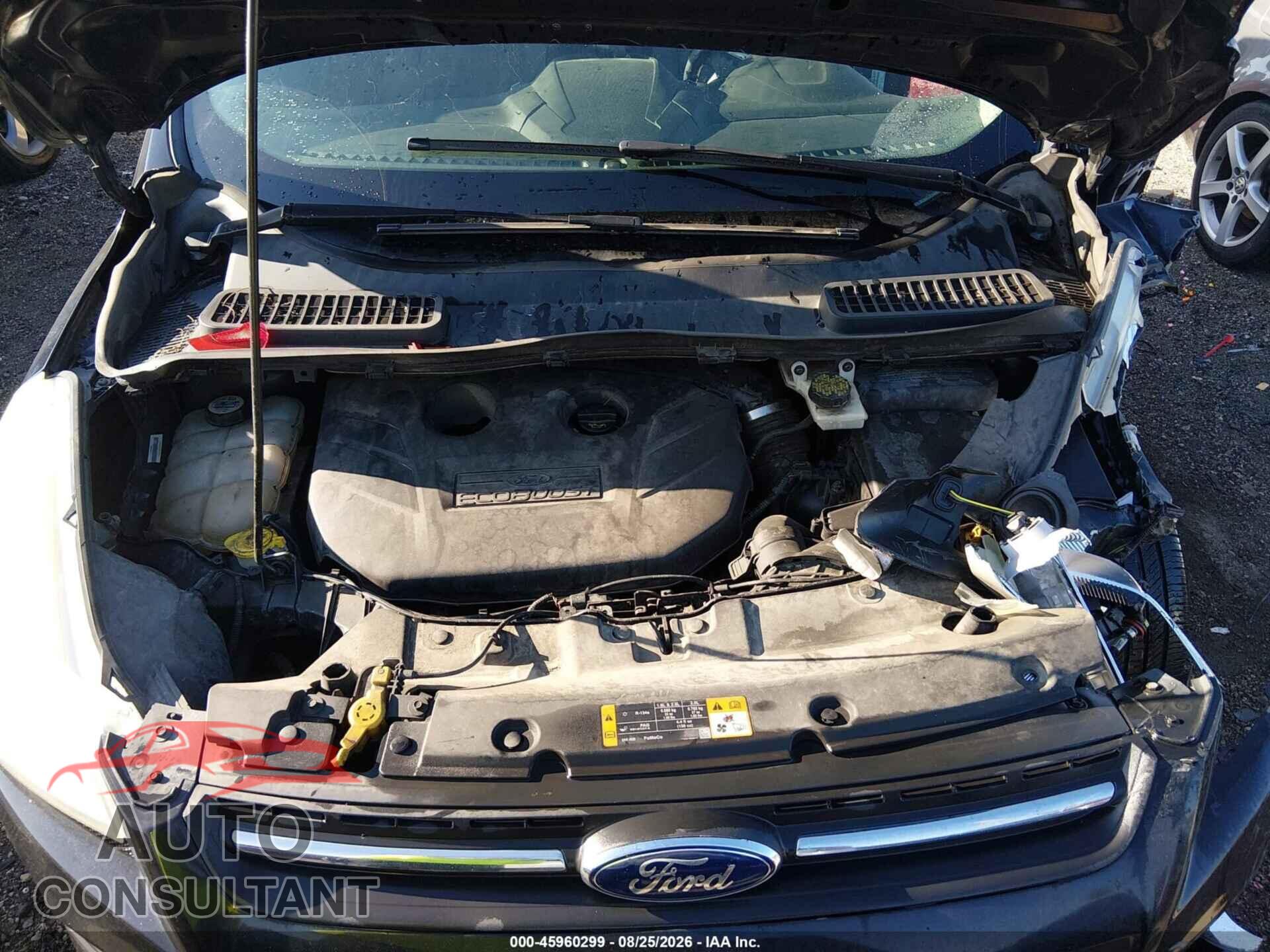 FORD ESCAPE 2013 - 1FMCU0G90DUC84861