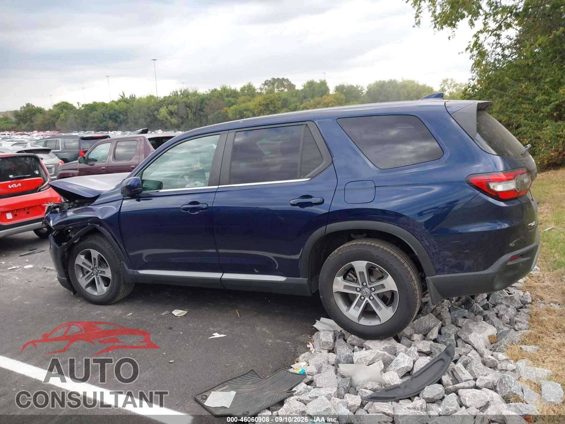 HONDA PILOT 2024 - 5FNYG2H58RB006430