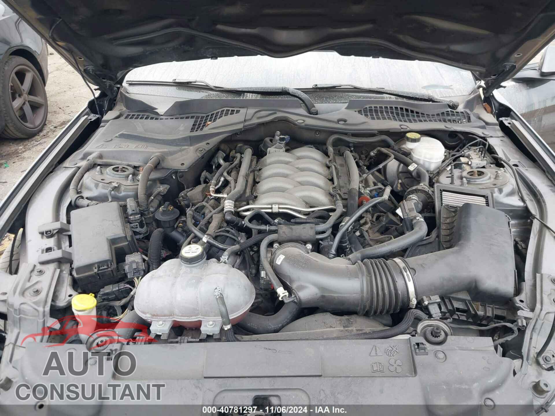 FORD MUSTANG 2019 - 1FA6P8CF5K5132235