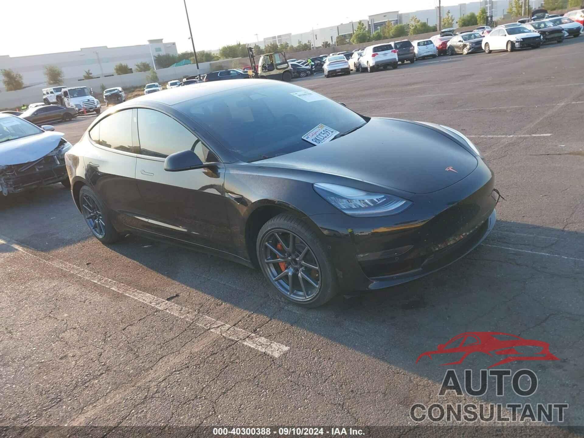 TESLA MODEL 3 2019 - 5YJ3E1EA1KF196895