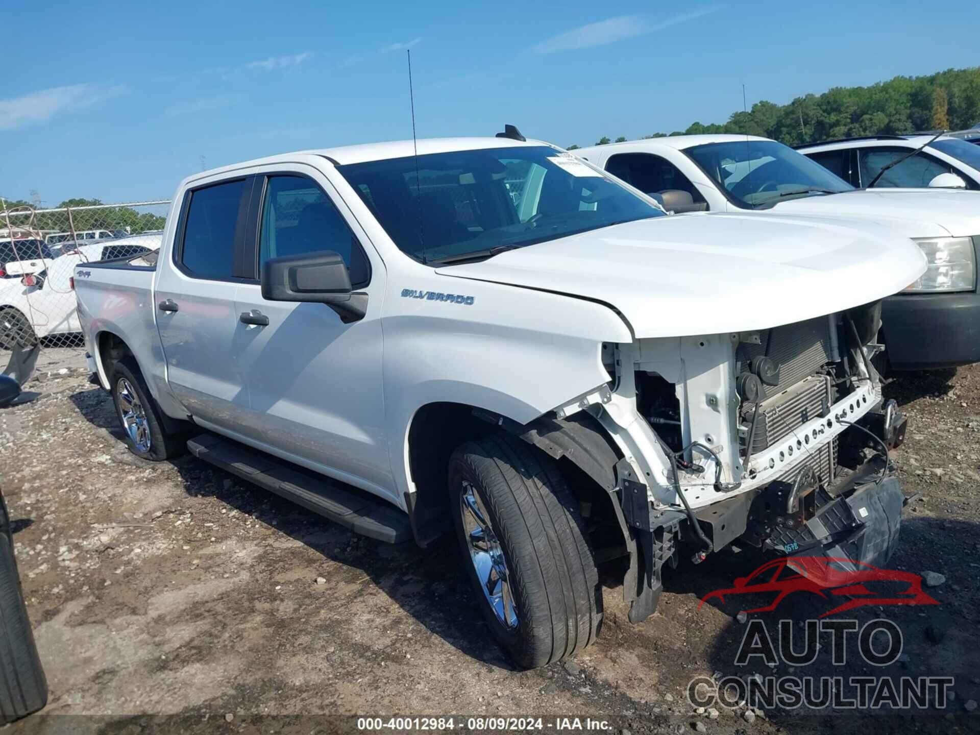 CHEVROLET SILVERADO 1500 2020 - 3GCPYBEK5LG373922