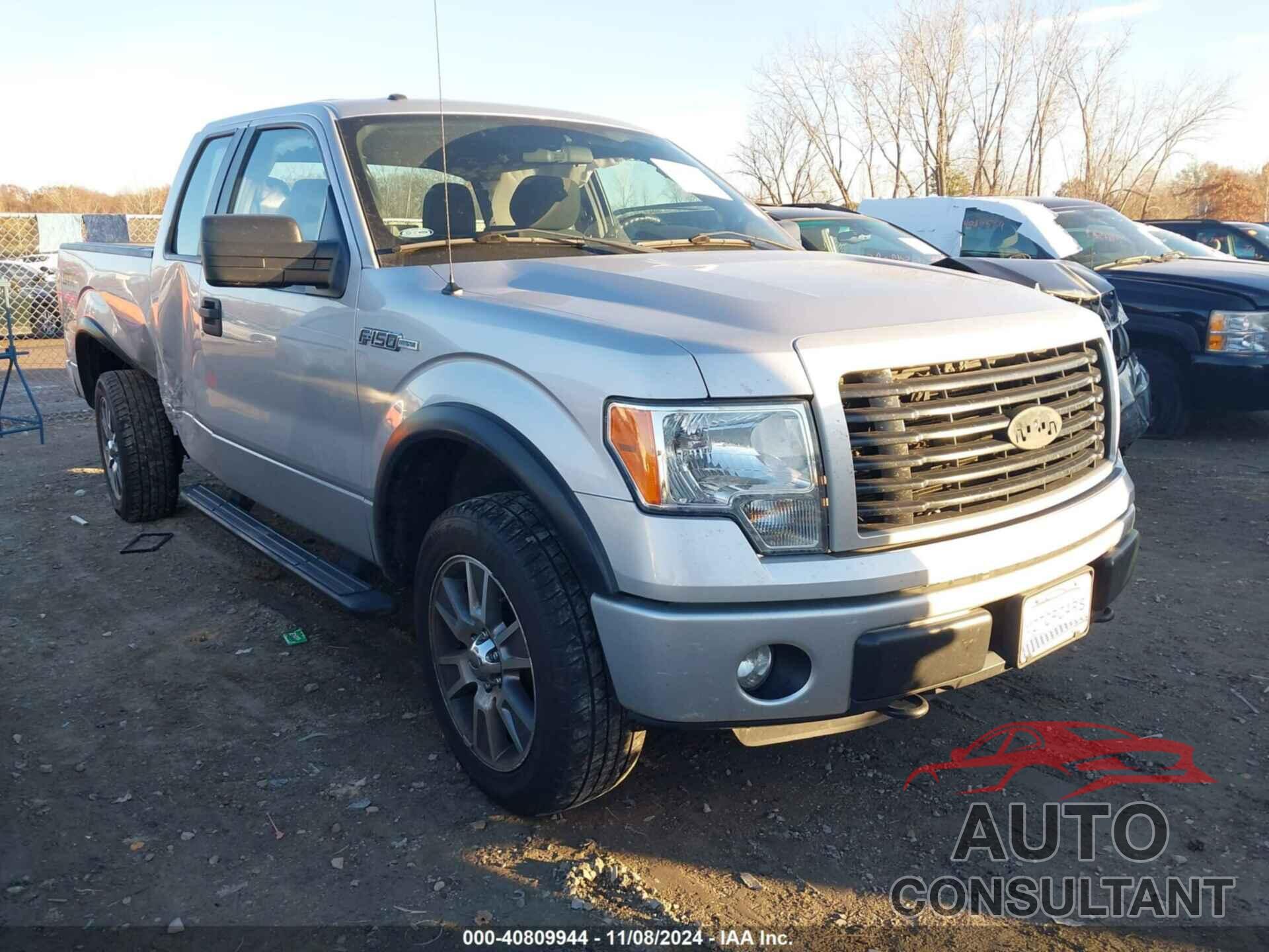 FORD F-150 2014 - 1FTFX1EF4EKF42173