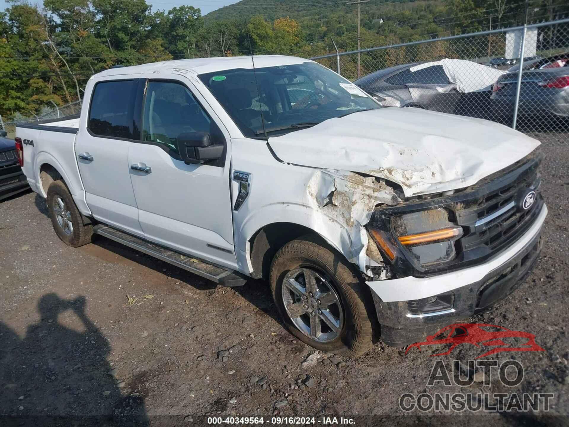 FORD F-150 2024 - 1FTFW3LD9RFA42170