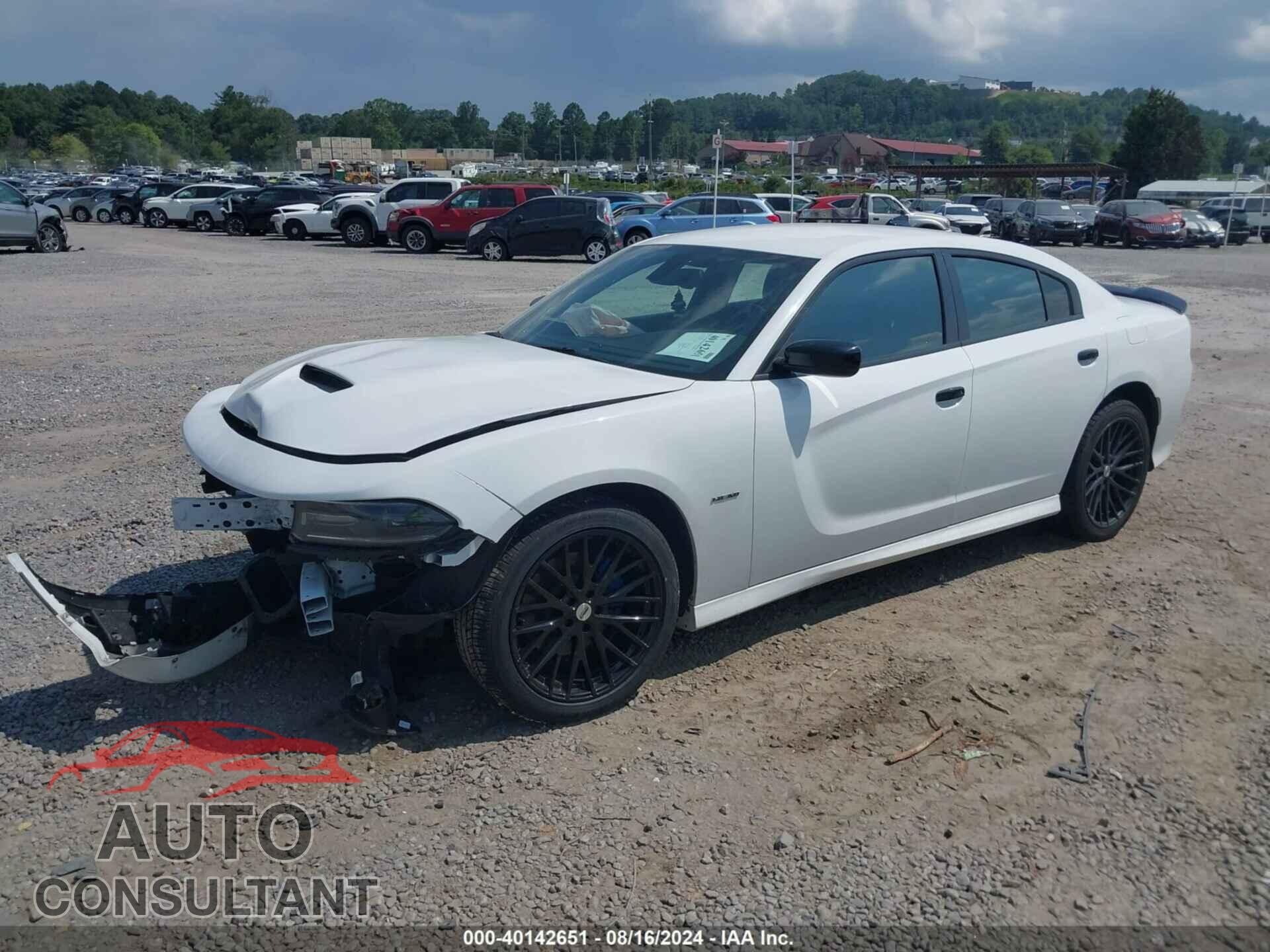 DODGE CHARGER 2019 - 2C3CDXCT6KH749128