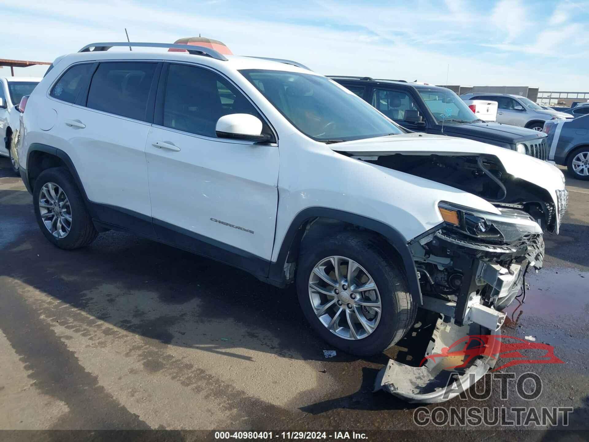 JEEP CHEROKEE 2019 - 1C4PJLLB9KD225863