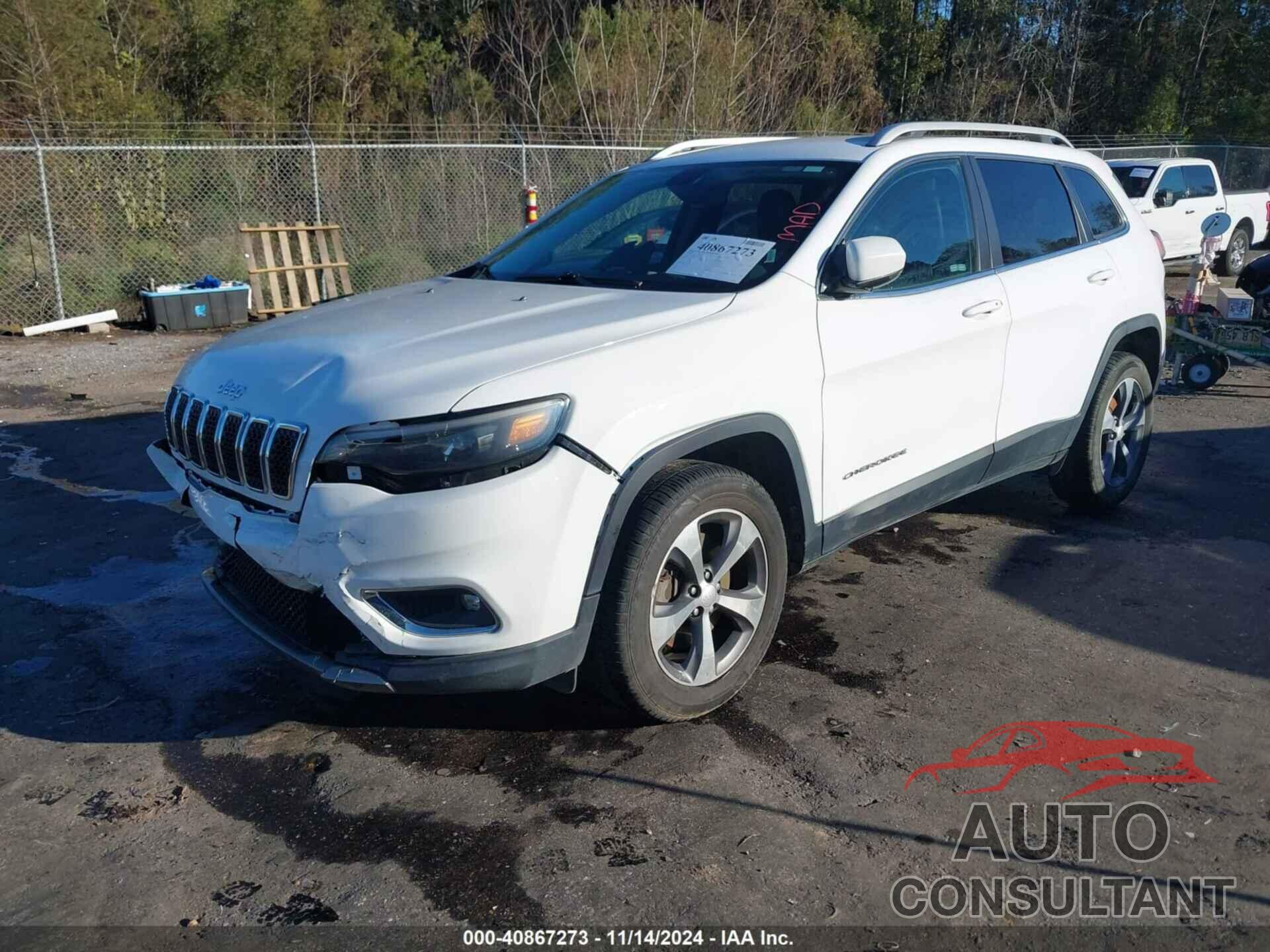 JEEP CHEROKEE 2019 - 1C4PJMDX4KD350110