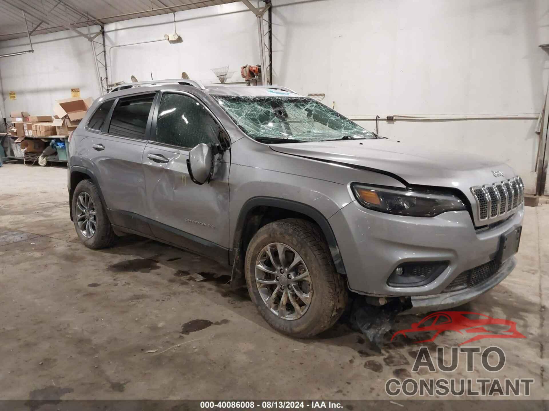 JEEP CHEROKEE 2019 - 1C4PJMLX3KD488917