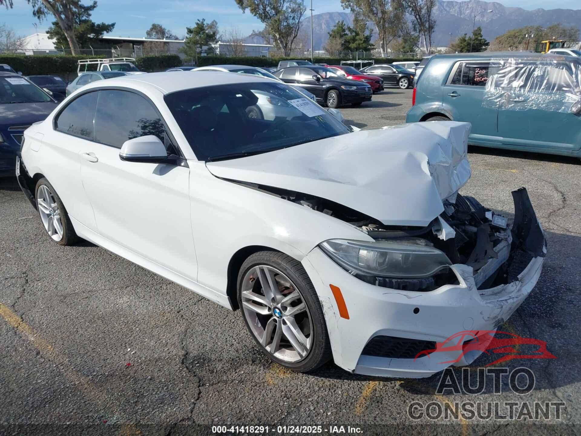 BMW 228I 2014 - WBA1F5C51EV255867