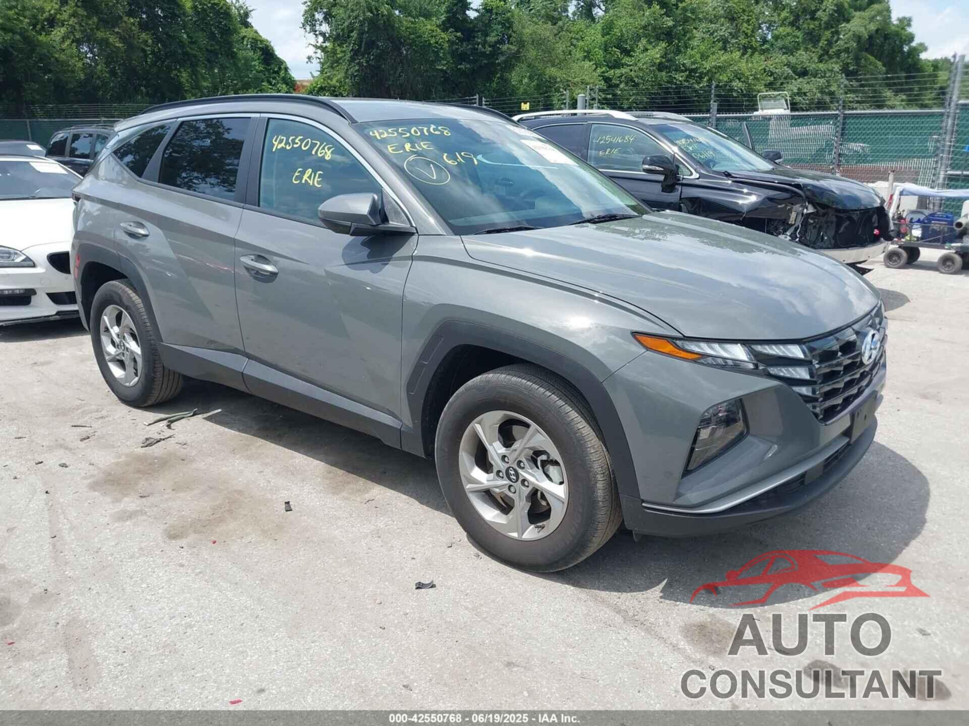 HYUNDAI TUCSON 2024 - 5NMJBCDE2RH416876