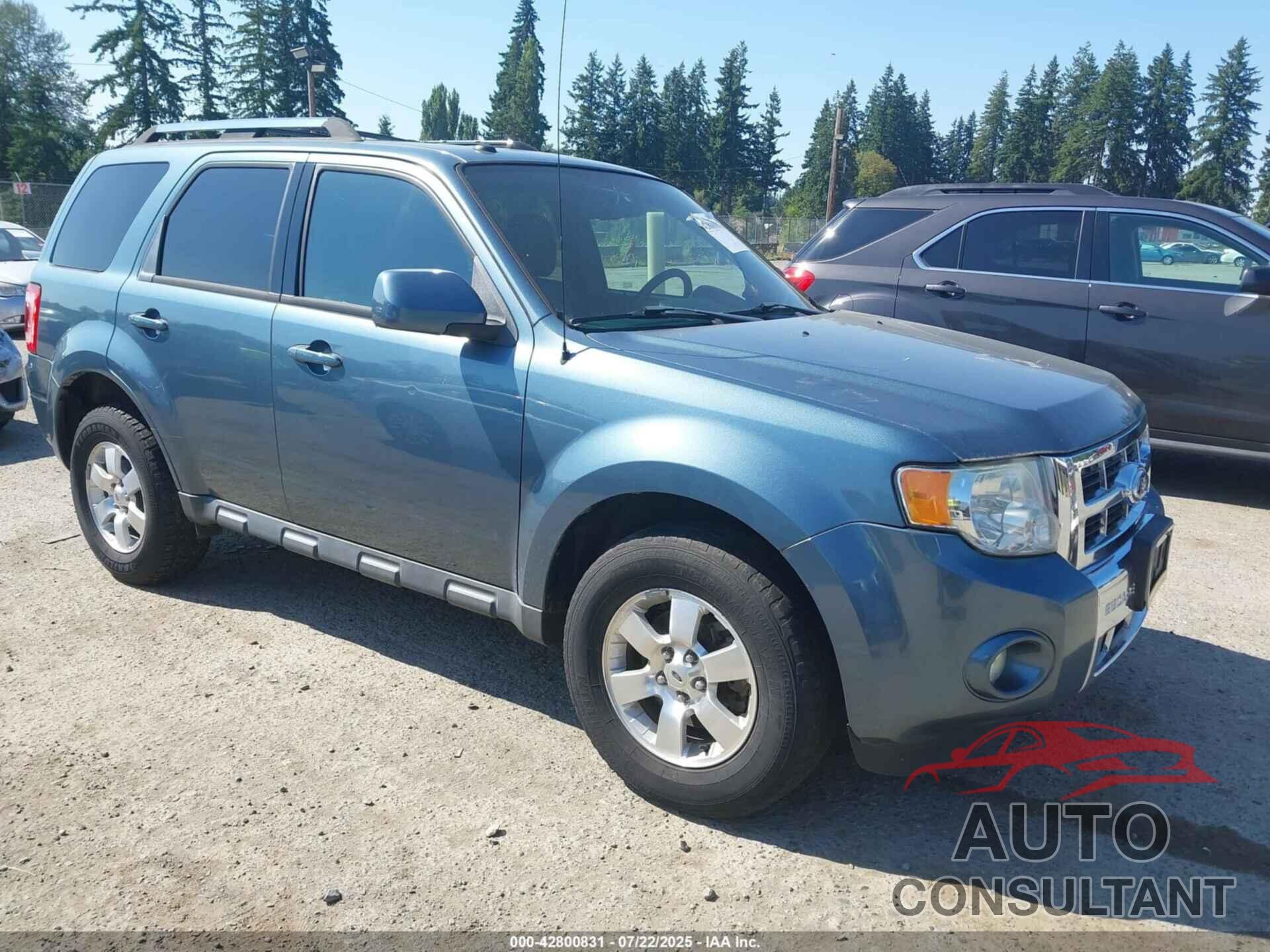 FORD ESCAPE 2011 - 1FMCU9EG3BKA08625
