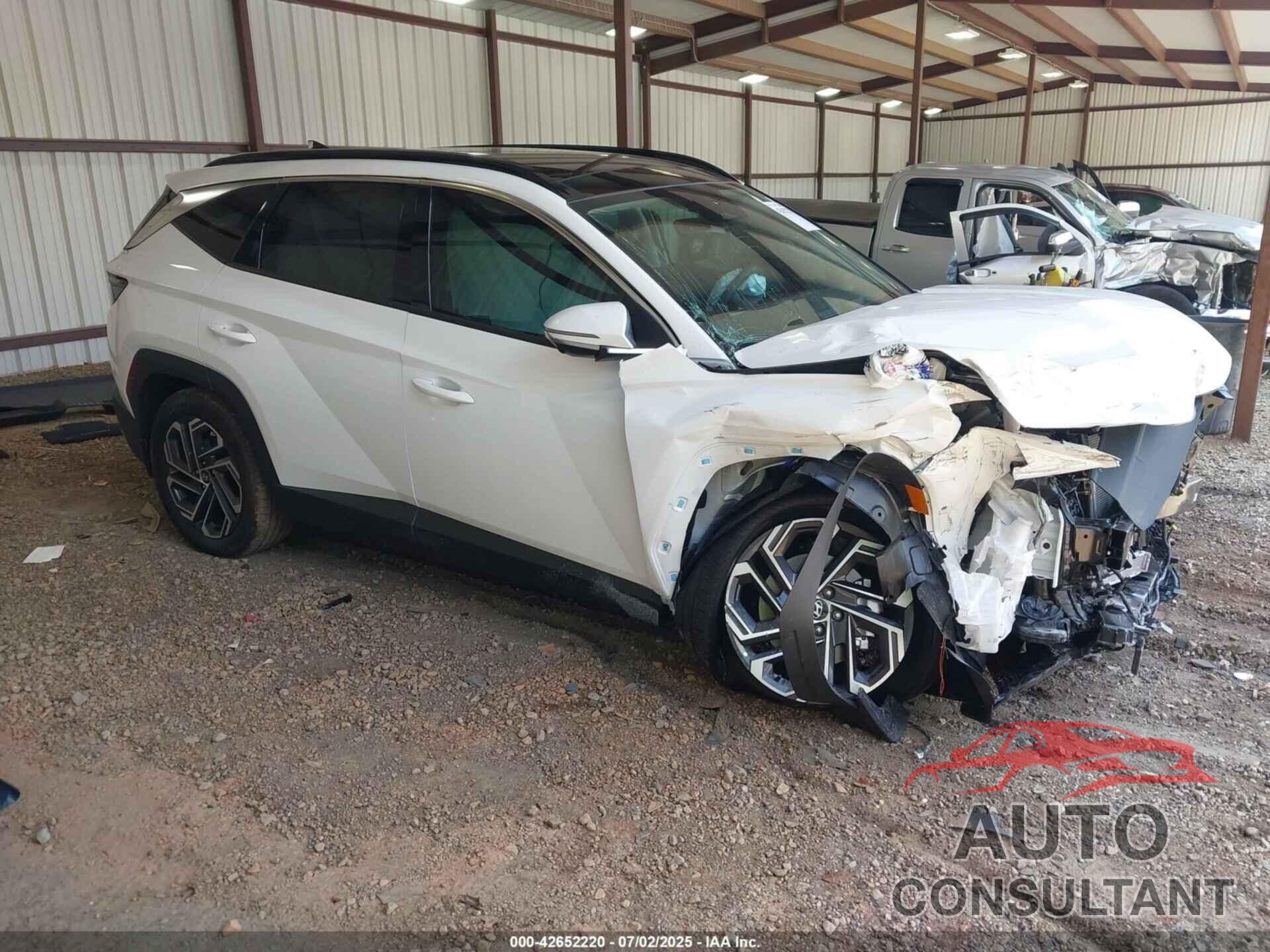 HYUNDAI TUCSON HYBRID 2025 - KM8JEDD19SU309070
