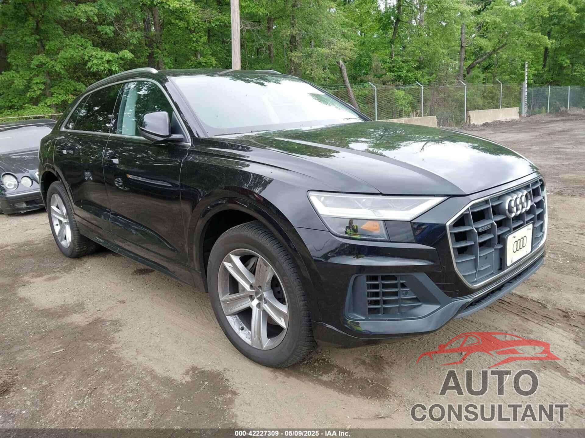 AUDI Q8 2019 - WA1AVAF16KD019301