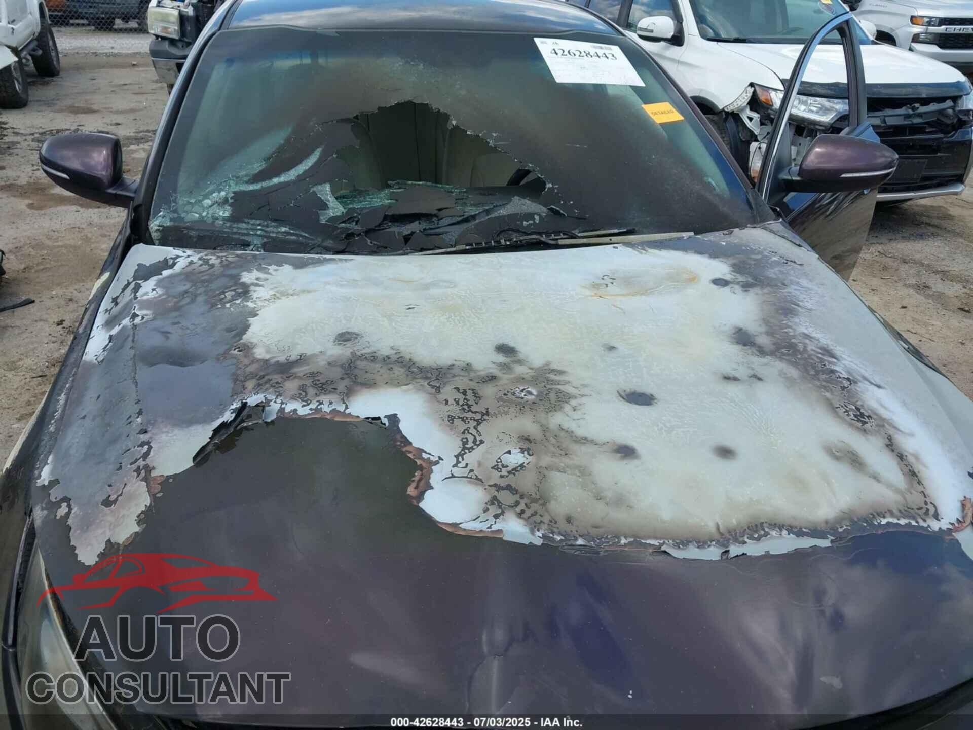 KIA OPTIMA 2011 - KNAGM4A76B5055321