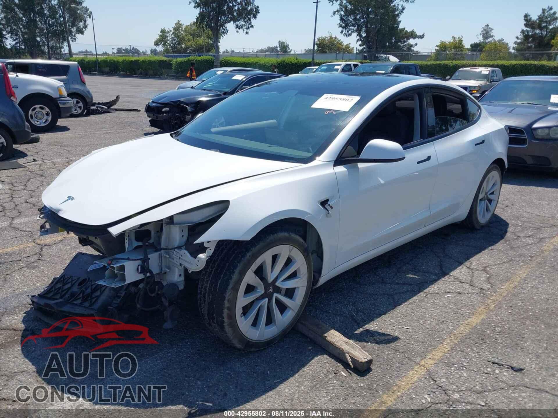 TESLA MODEL 3 2021 - 5YJ3E1EA0MF082390