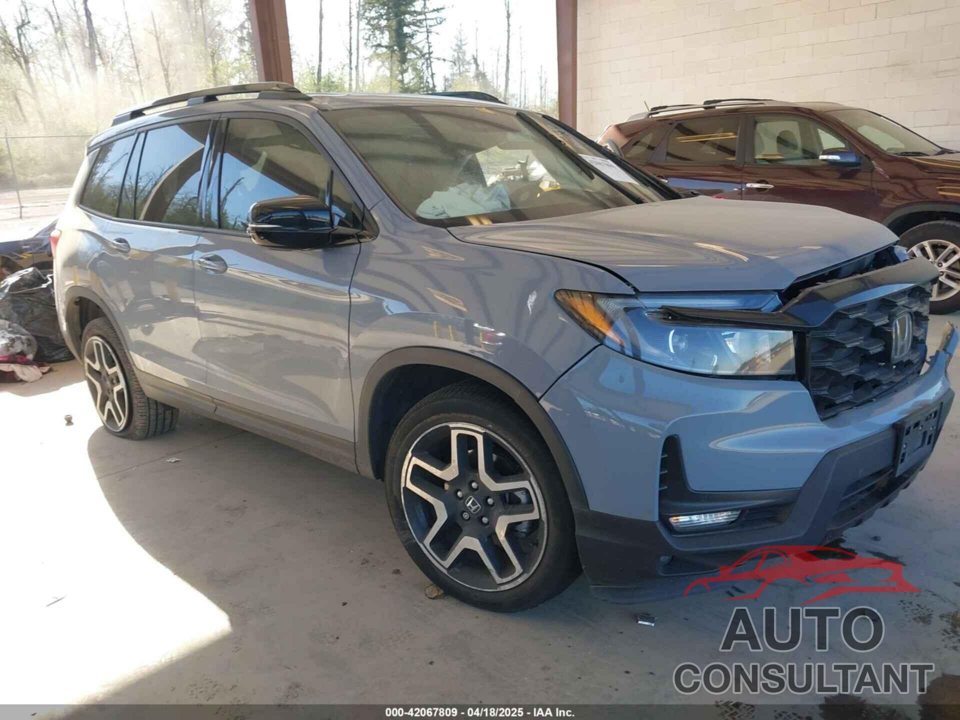 HONDA PASSPORT 2022 - 5FNYF8H08NB019585