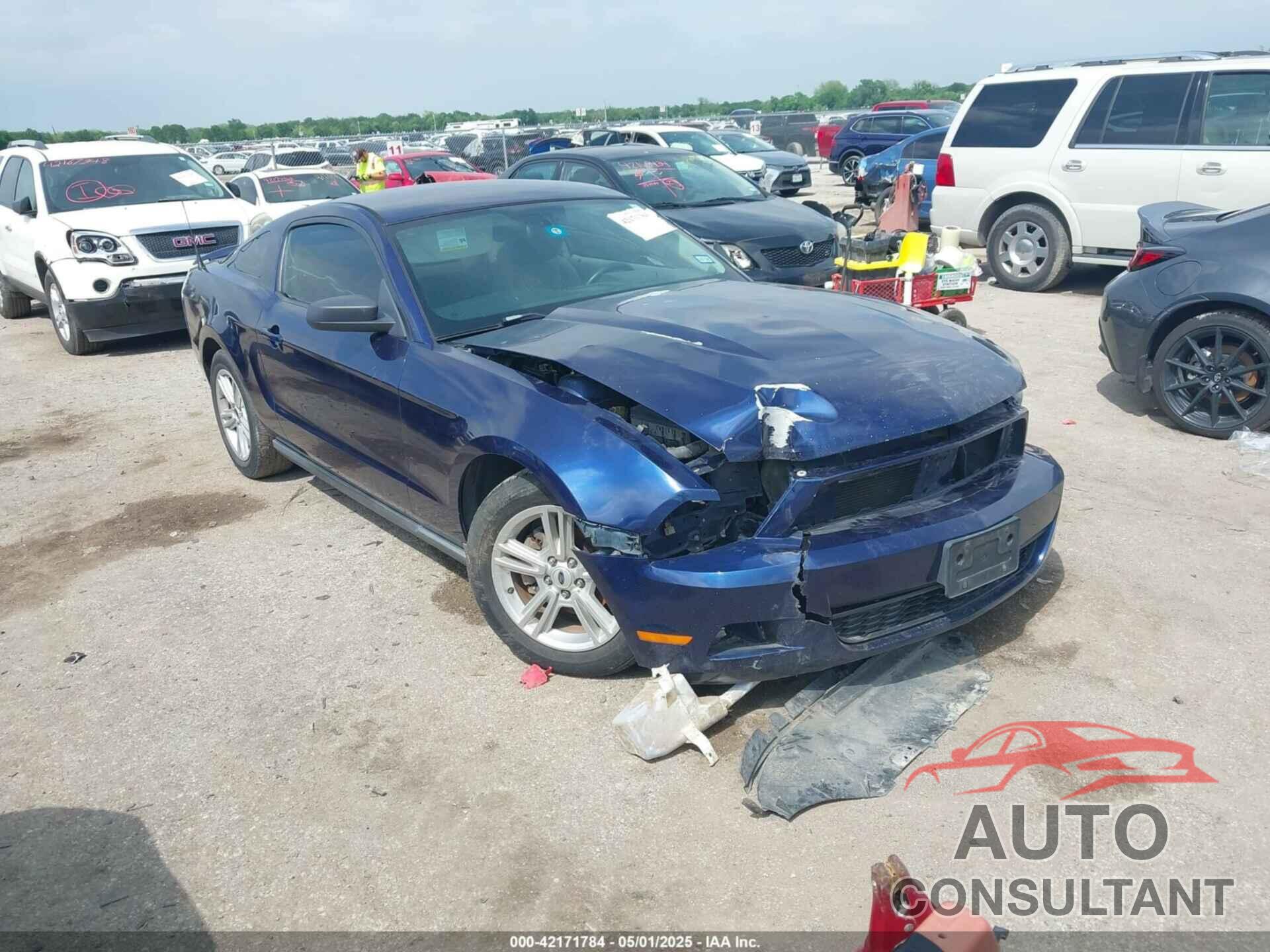 FORD MUSTANG 2010 - 1ZVBP8AN9A5140305
