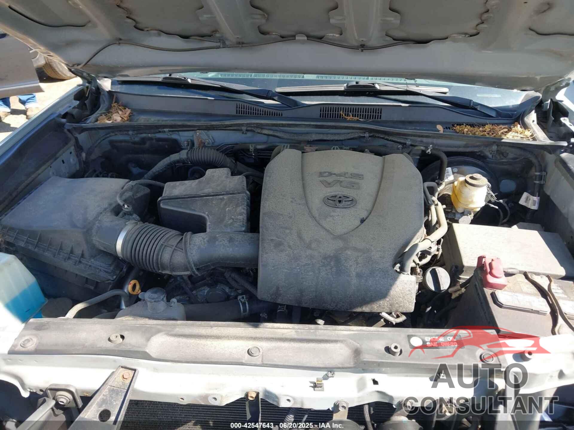 TOYOTA TACOMA 2019 - 3TMCZ5AN1KM275287