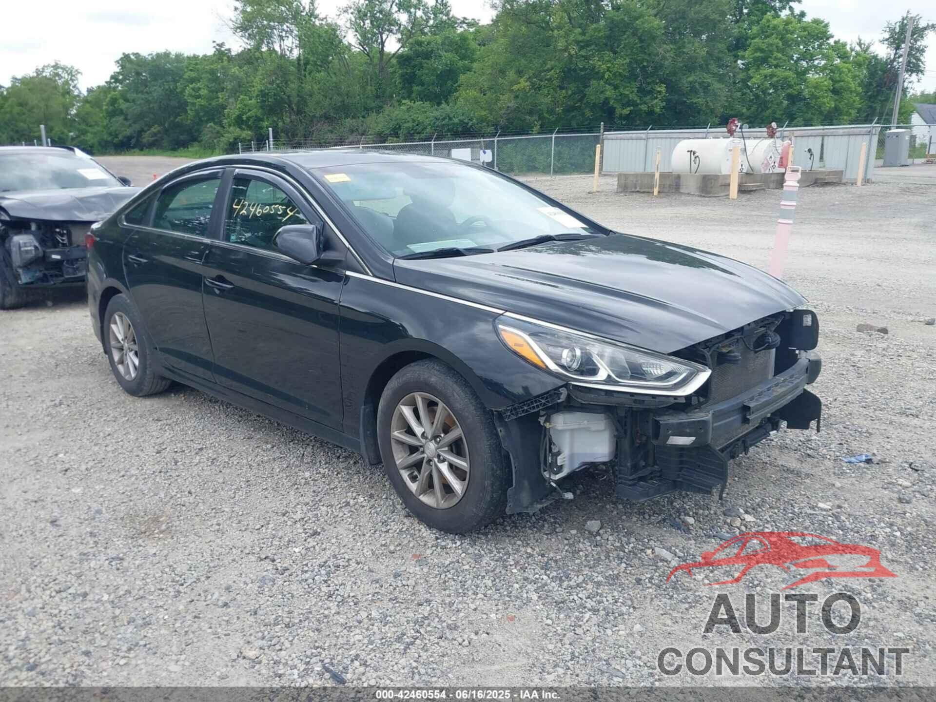 HYUNDAI SONATA 2018 - 5NPE24AF4JH656913