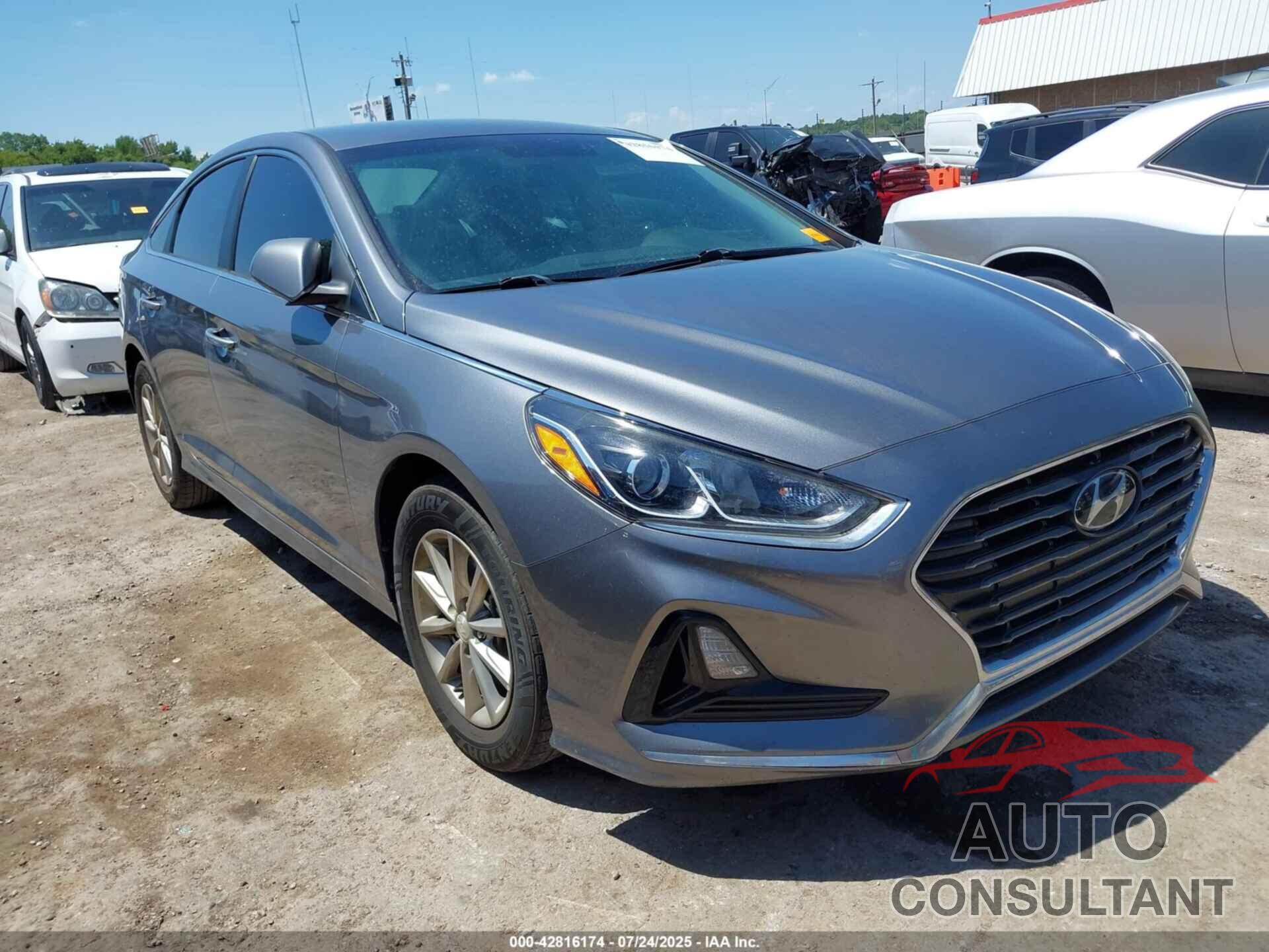 HYUNDAI SONATA 2019 - 5NPE24AF8KH746793