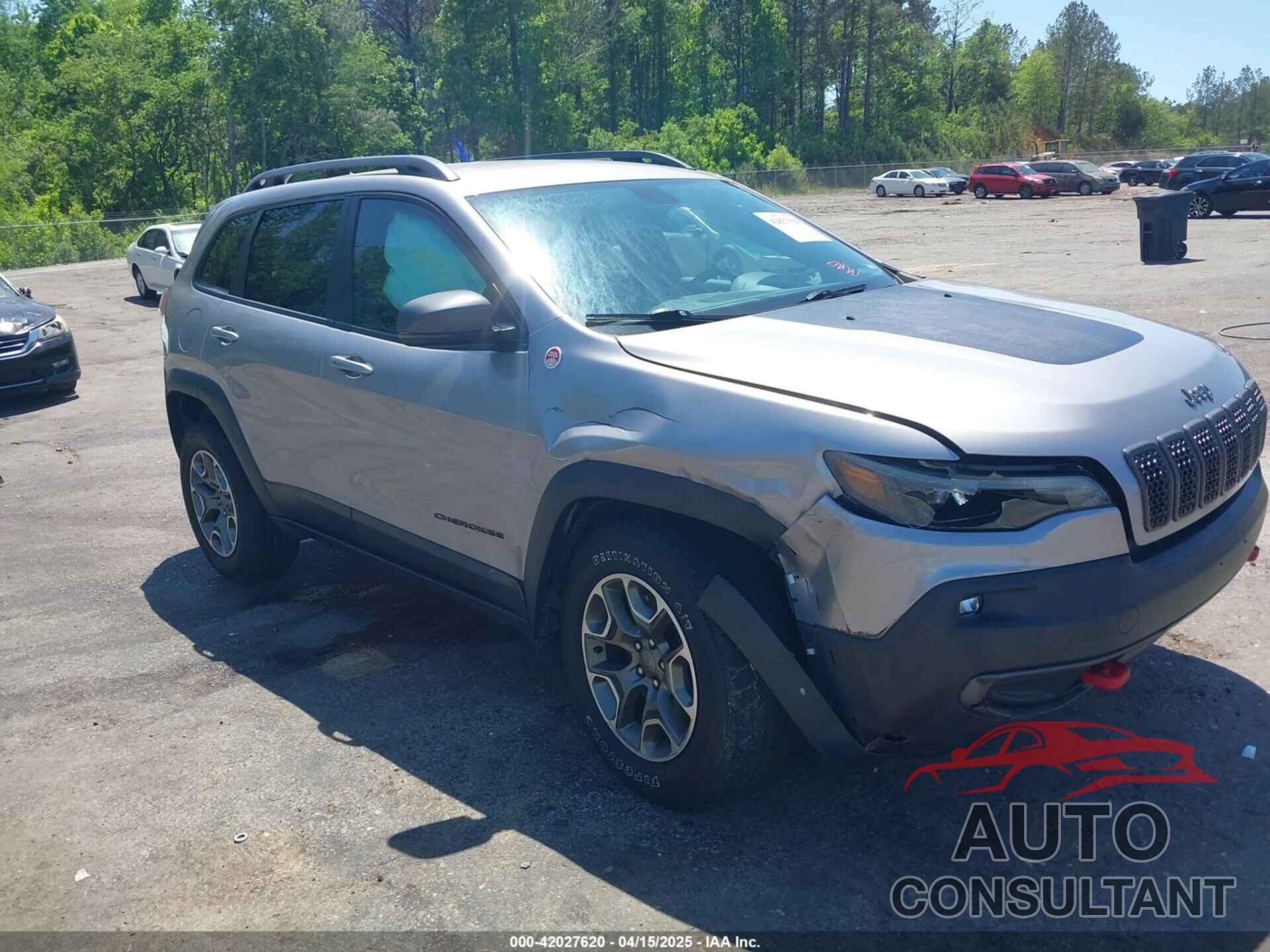 JEEP CHEROKEE 2020 - 1C4PJMBX1LD590087