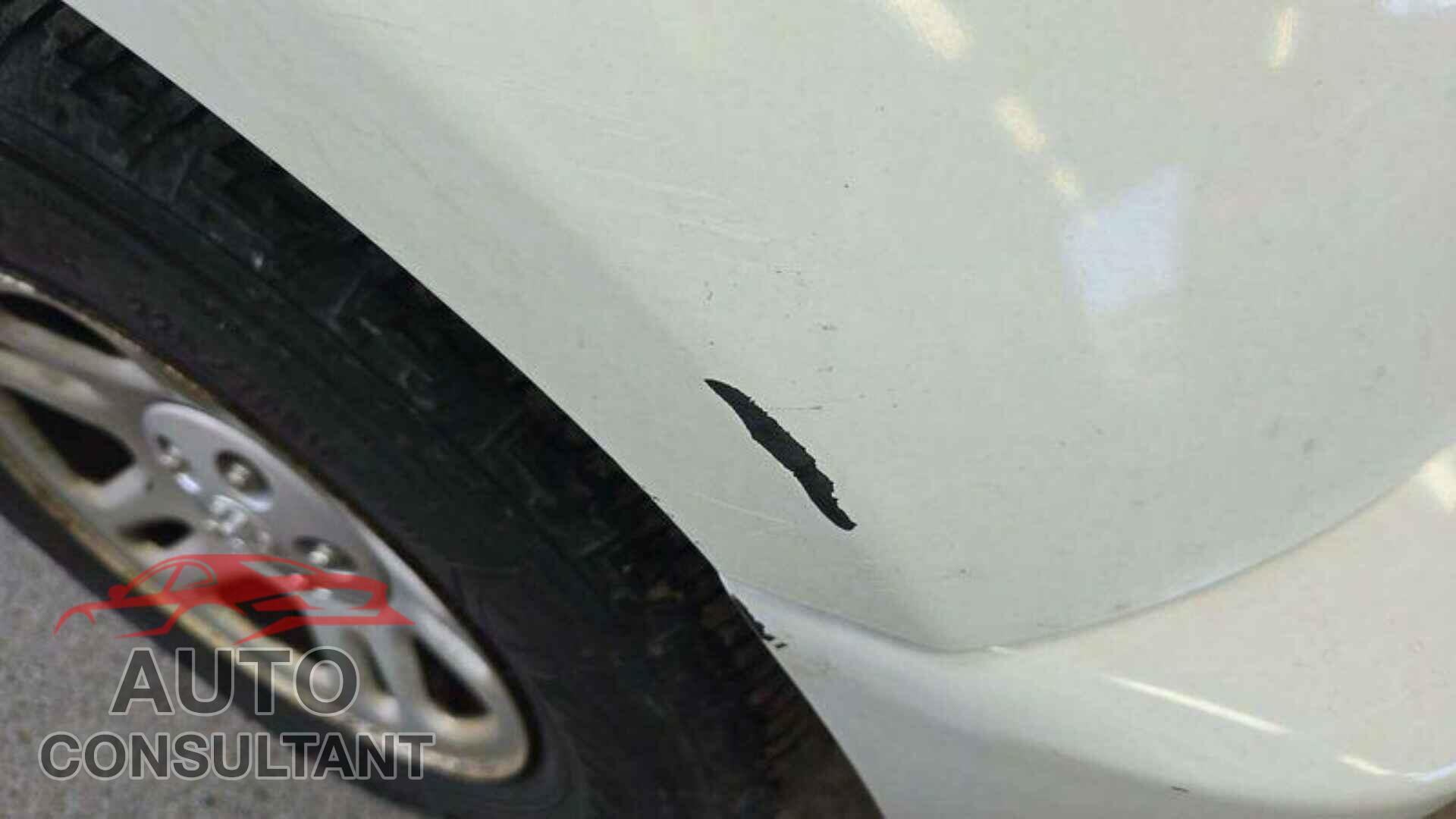 DODGE NITRO 2011 - 1D4PU2GK3BW590400