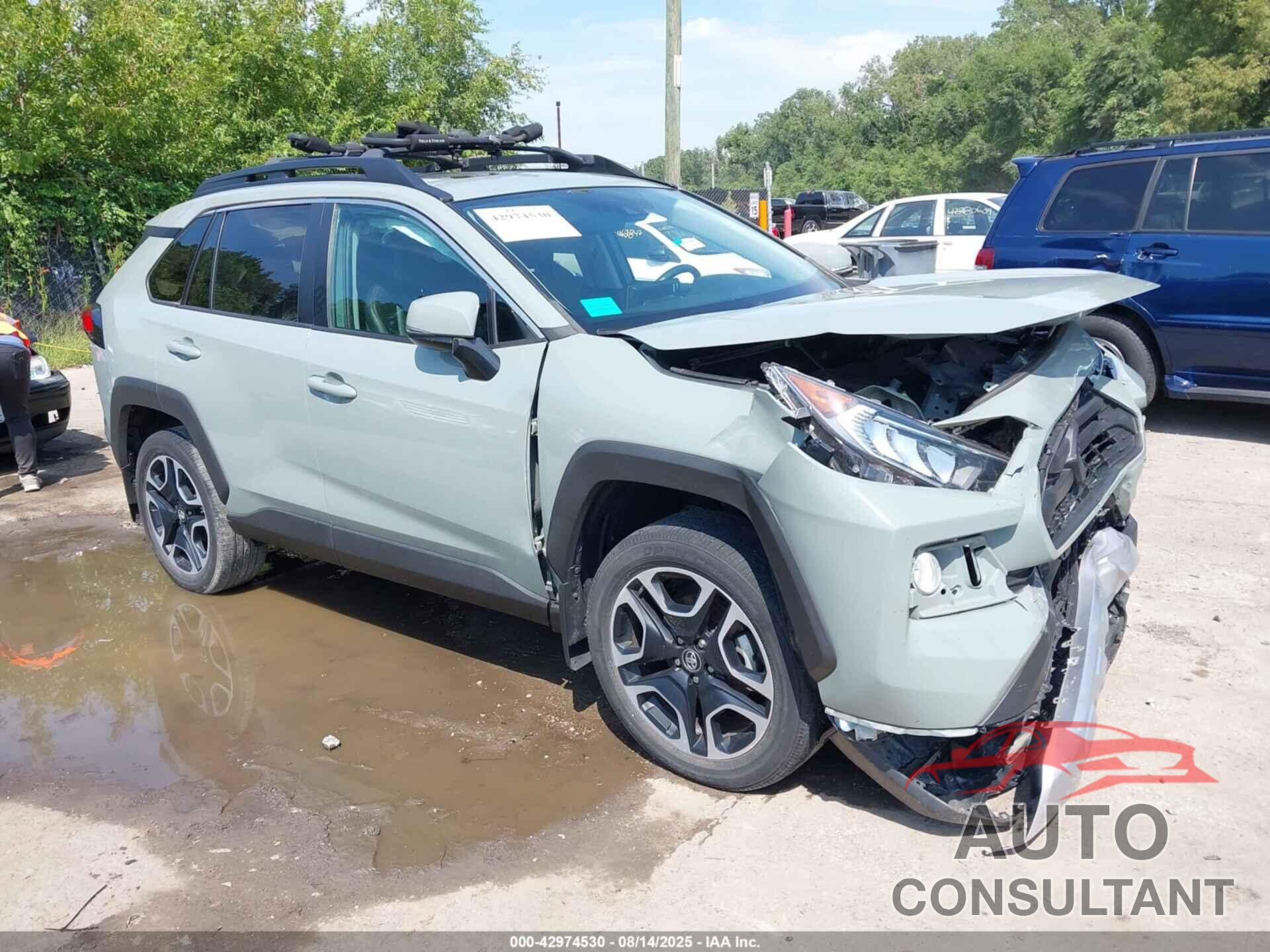 TOYOTA RAV4 2019 - 2T3J1RFV7KW047887