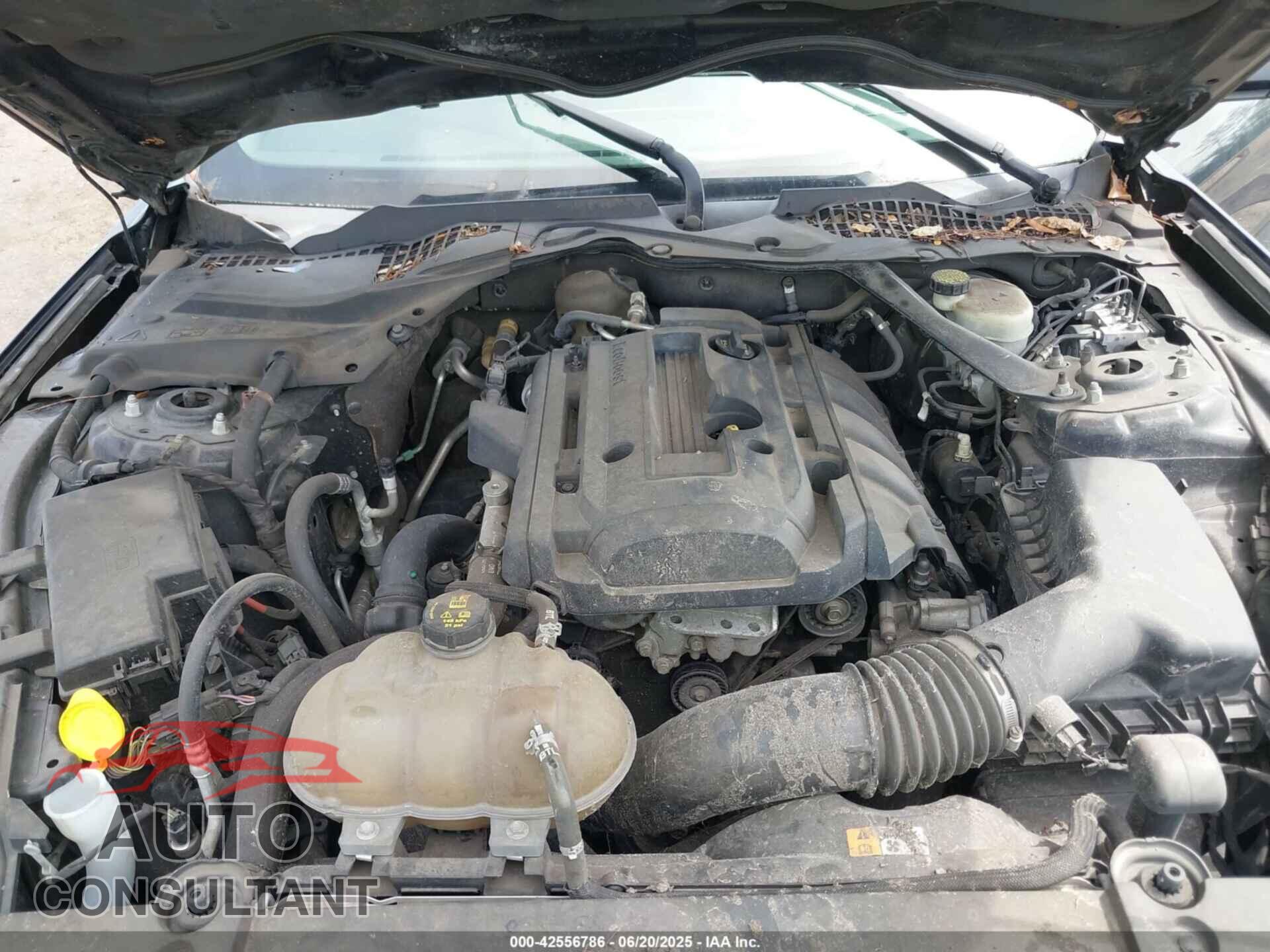 FORD MUSTANG 2015 - 1FA6P8TH5F5374241