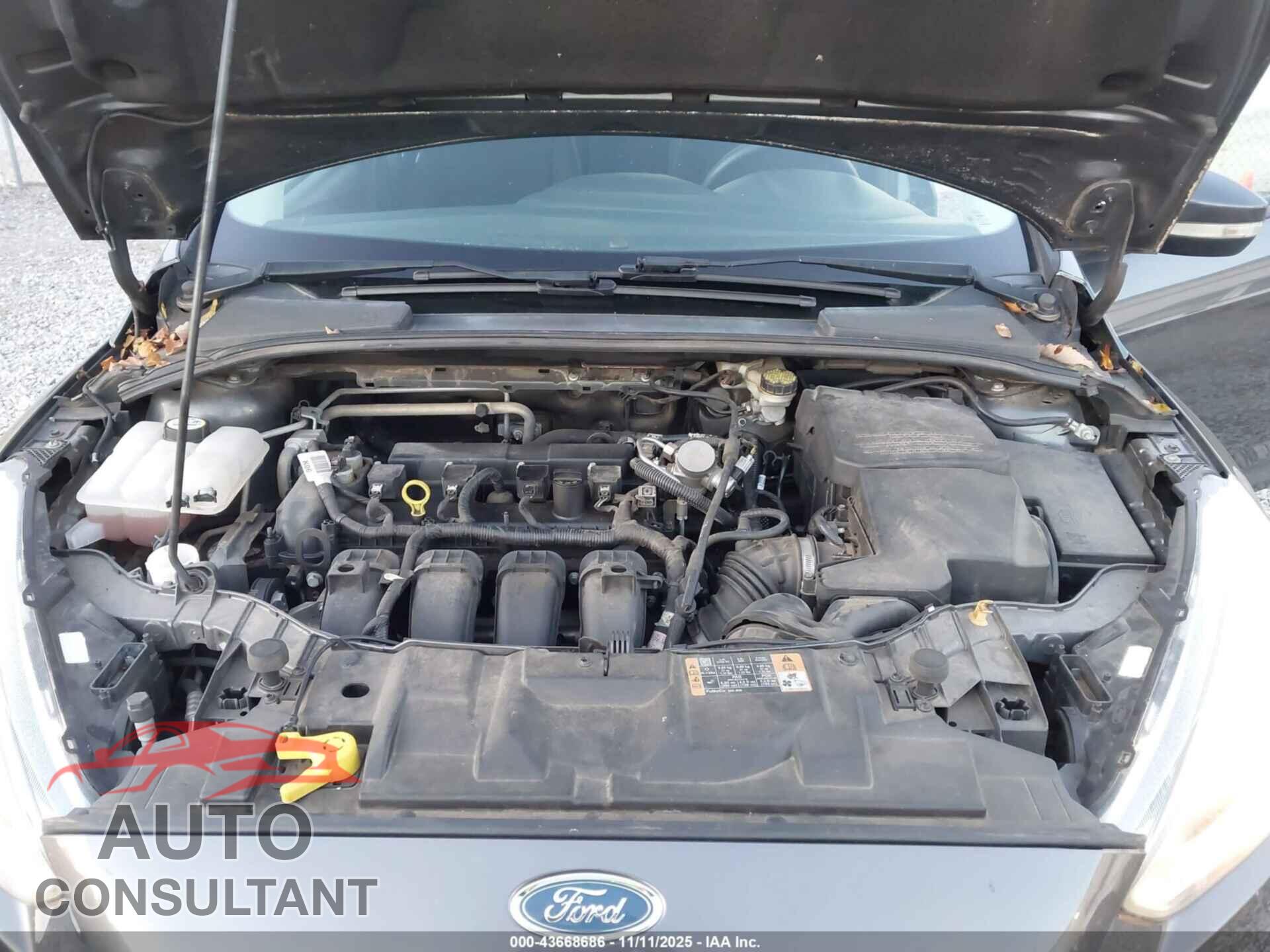 FORD FOCUS 2016 - 1FADP3F28GL342785
